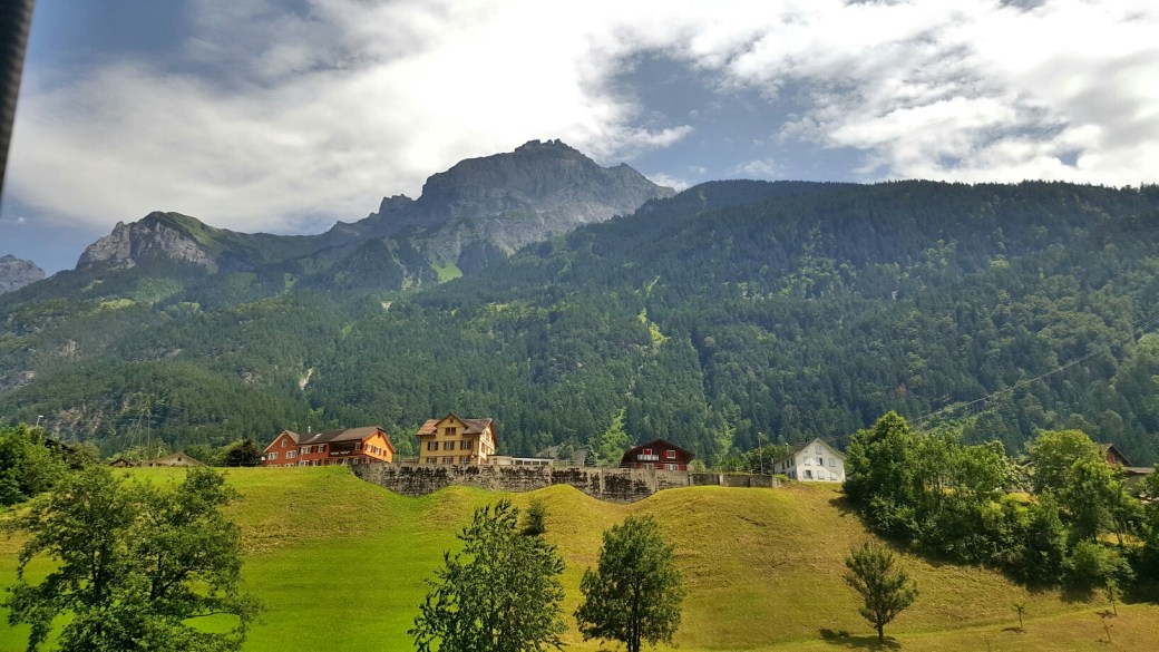 C360_2016-07-08-13-19-05-063_resized[2]