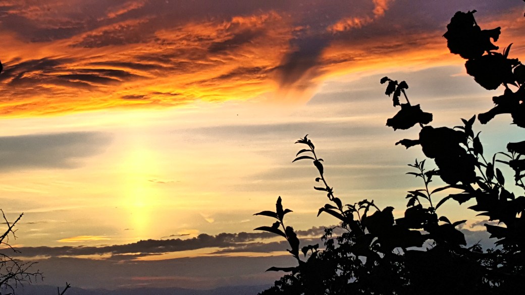 C360_2016-07-08-21-41-00-573