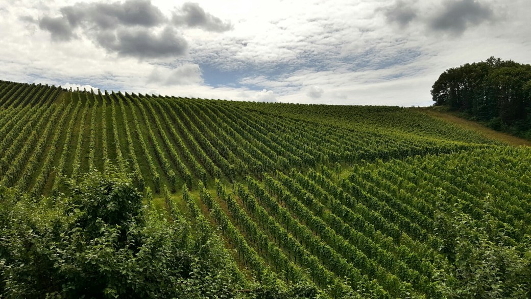 C360_2016-07-09-11-49-29-462_resized