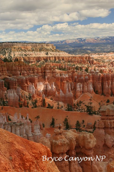 148600_1577083700568_6917238_n