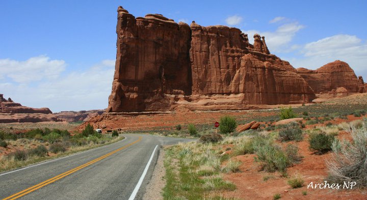 149115_1577088980700_4950167_n