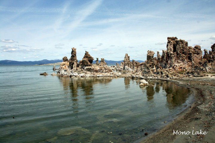 155471_1577092980800_8169223_n