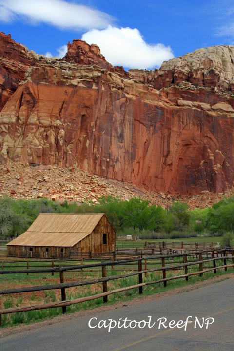 155724_1577089420711_2872358_n