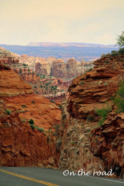 75176_1577082660542_8330829_n