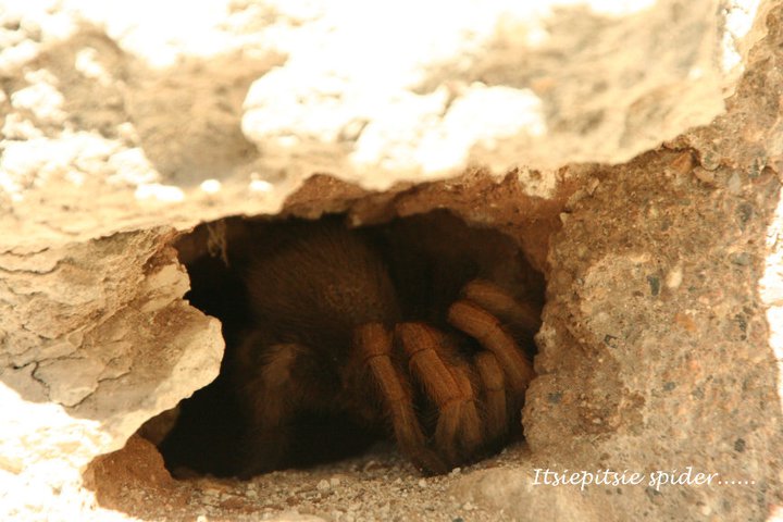 75190_1577085740619_3427397_n