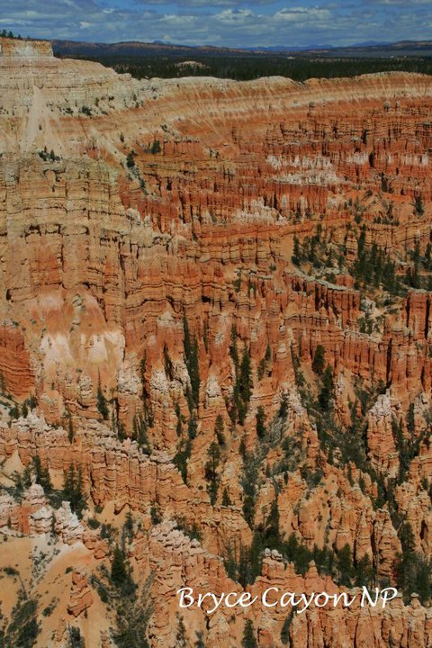 76882_1577089940724_1661528_n