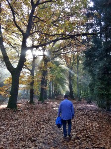 c360_2016-10-29-10-48-23-460