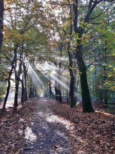 c360_2016-10-29-10-49-08-585