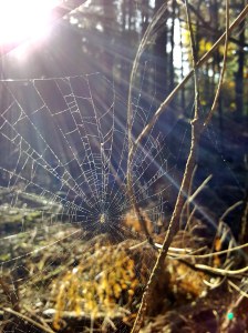 c360_2016-10-29-11-03-26-670