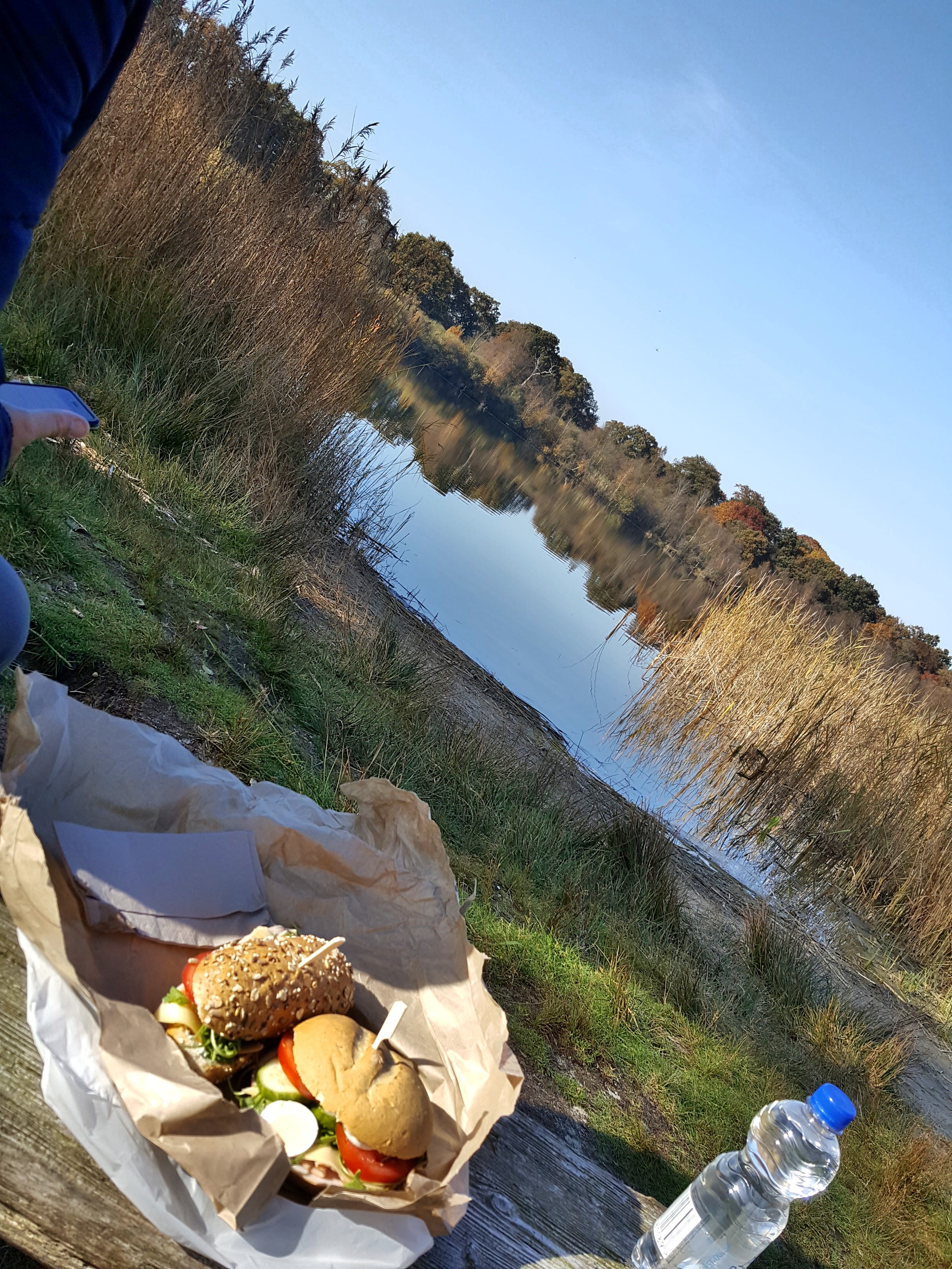 c360_2016-10-31-12-44-24-4961