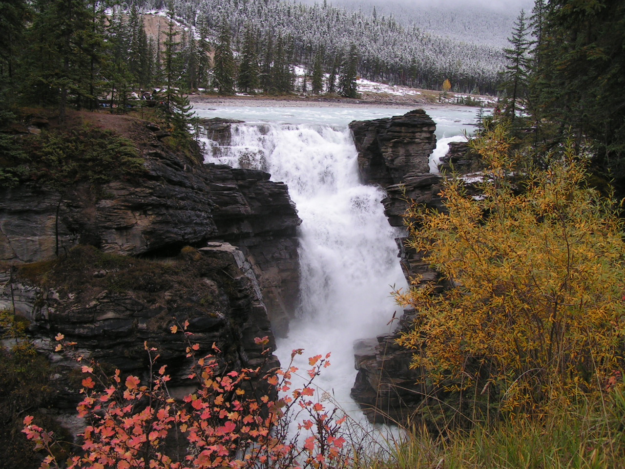 MINOLTA DIGITAL CAMERA