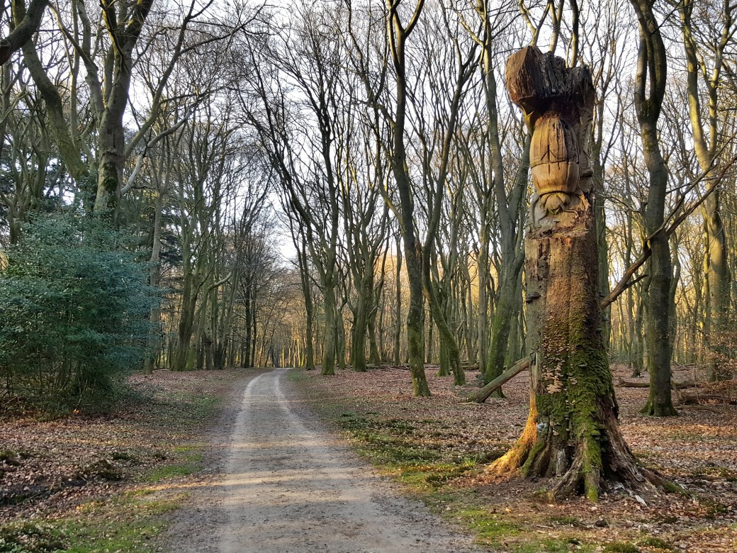 C360_2017-04-08-18-47-46-172