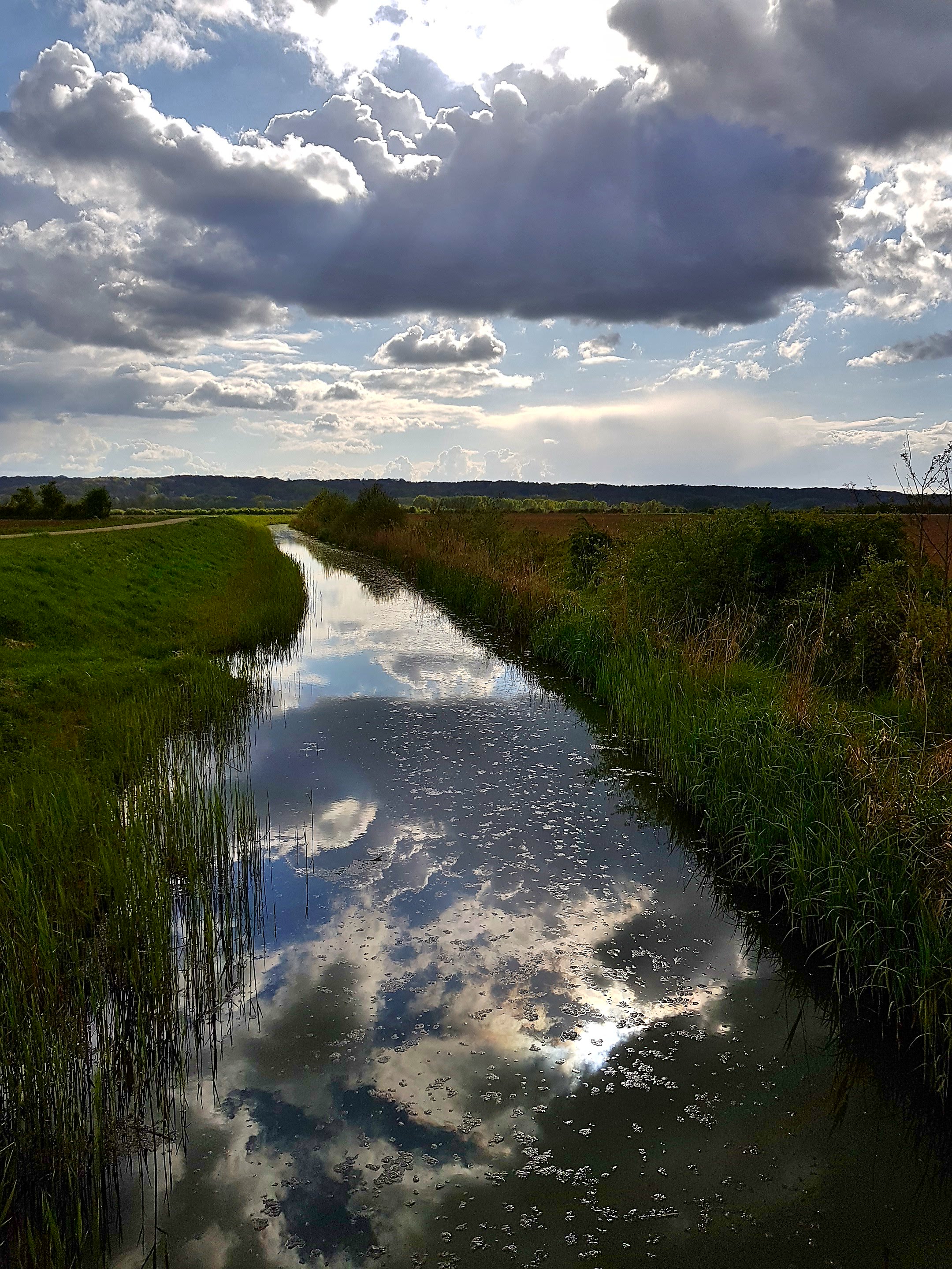 C360_2017-04-26-17-24-41-834