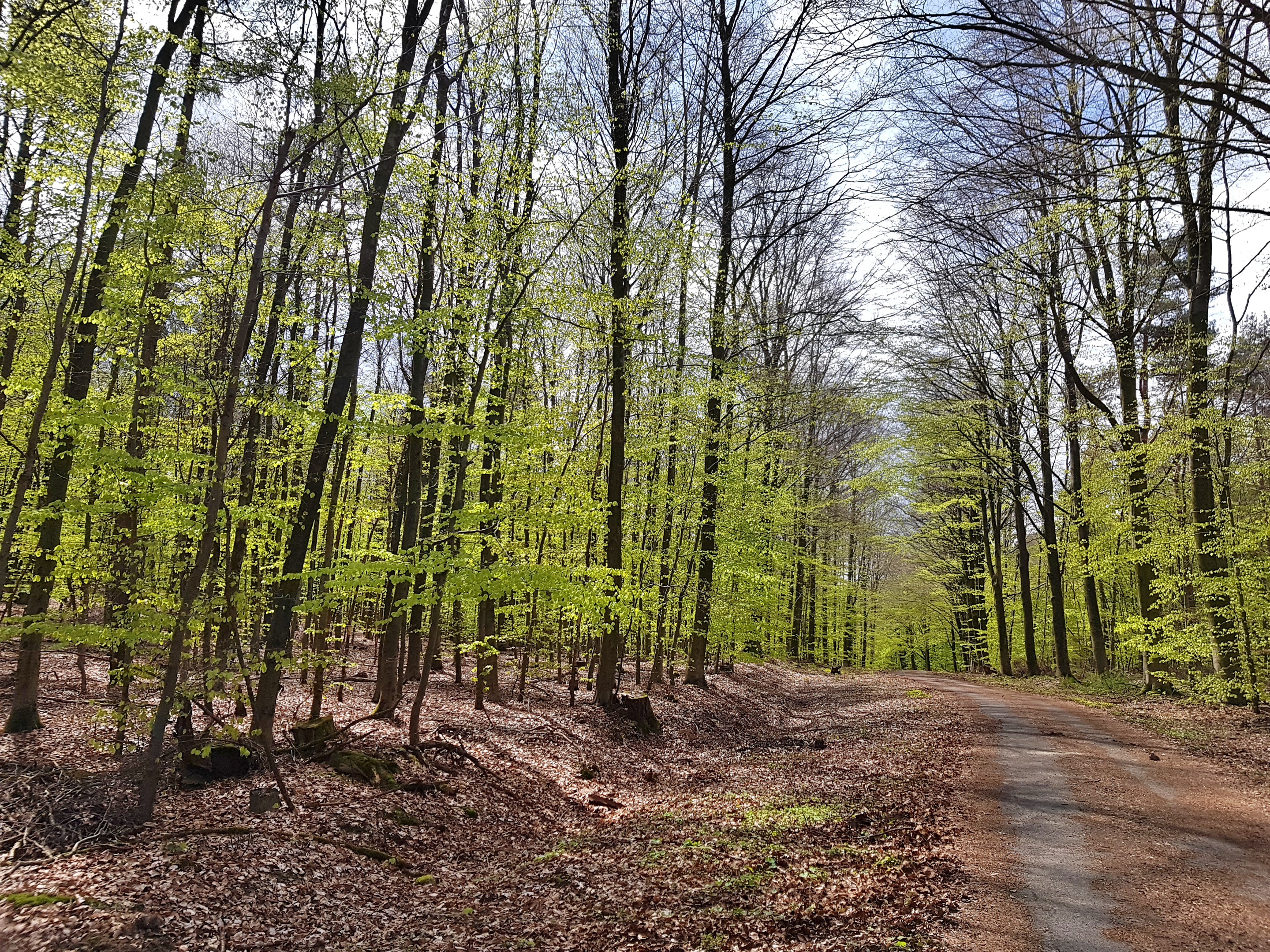 C360_2017-04-27-13-35-10-237