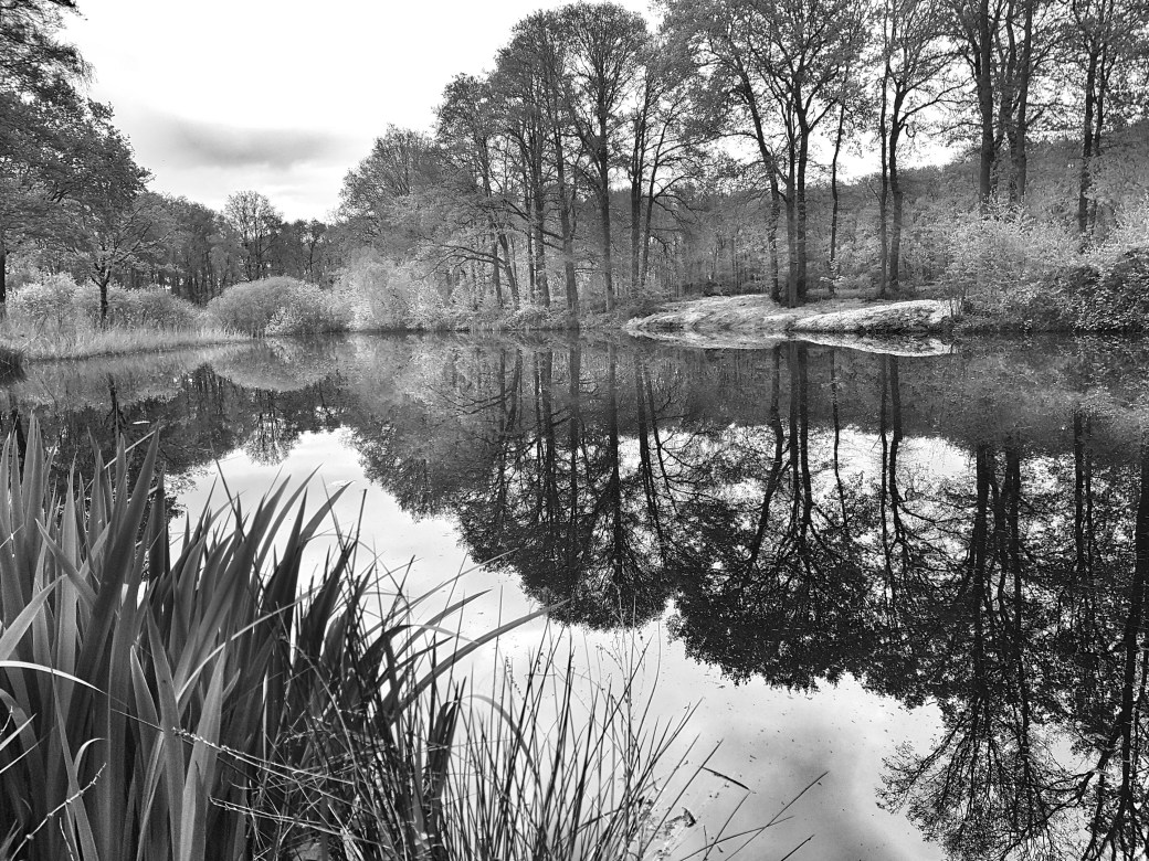 C360_2017-04-28-12-42-07-717