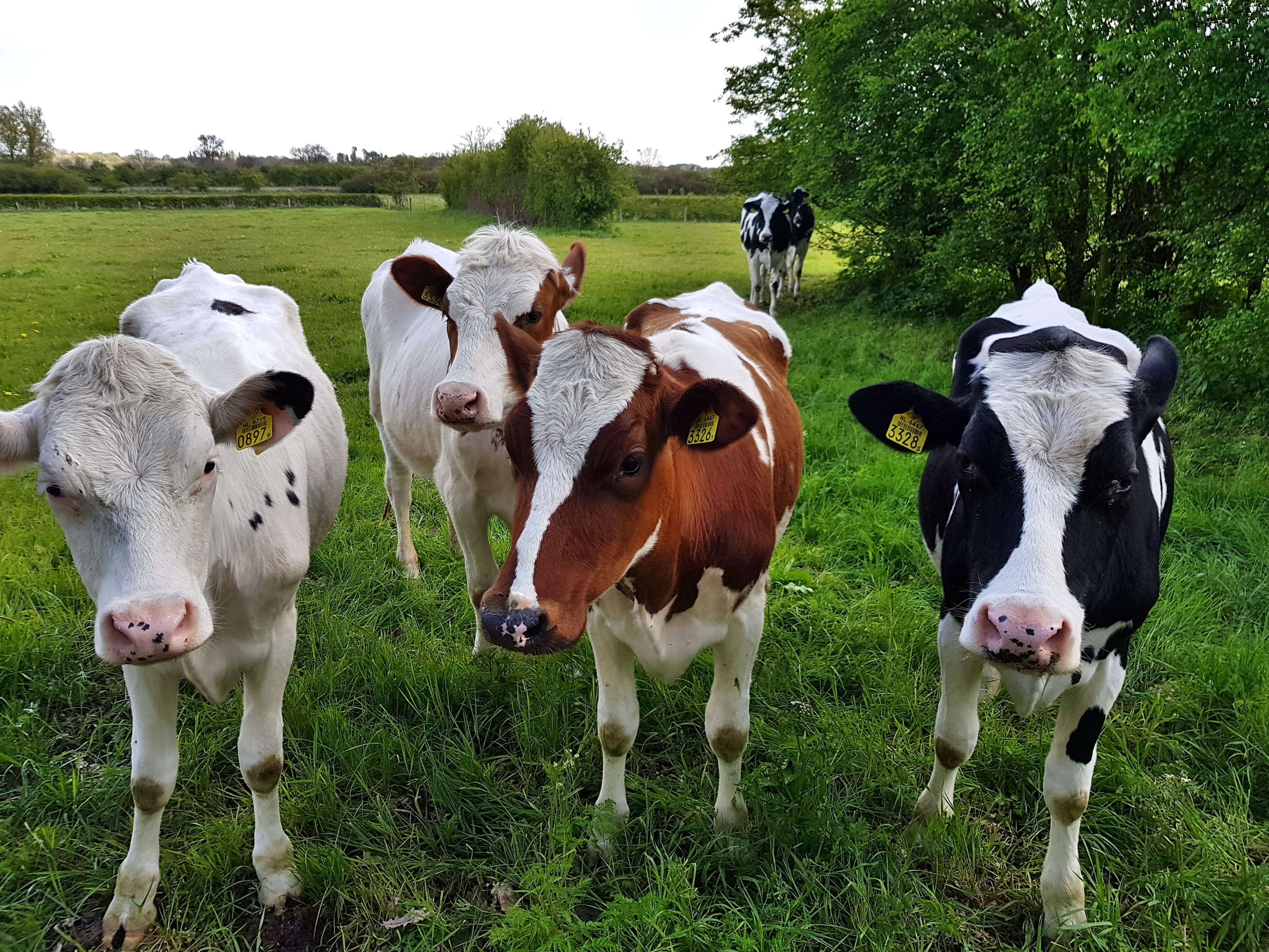 C360_2017-04-29-11-41-54-177