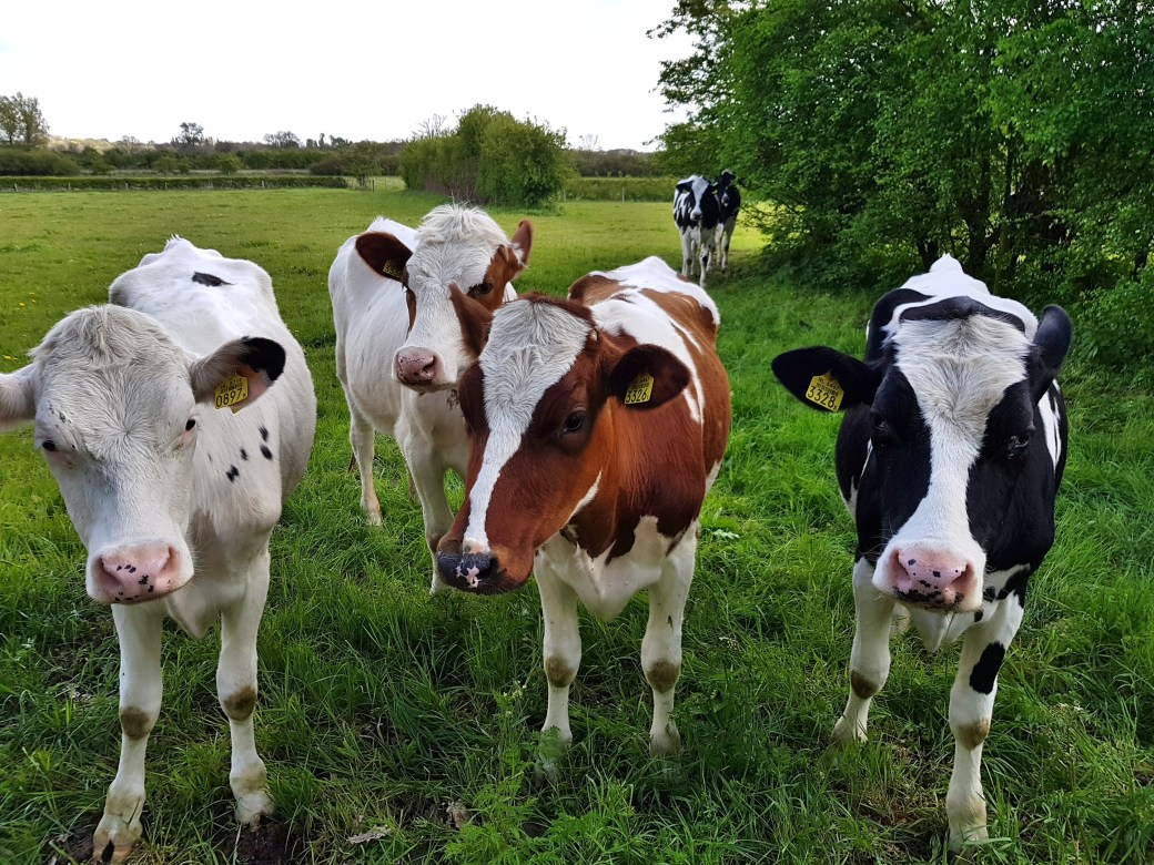 C360_2017-04-29-11-41-54-177