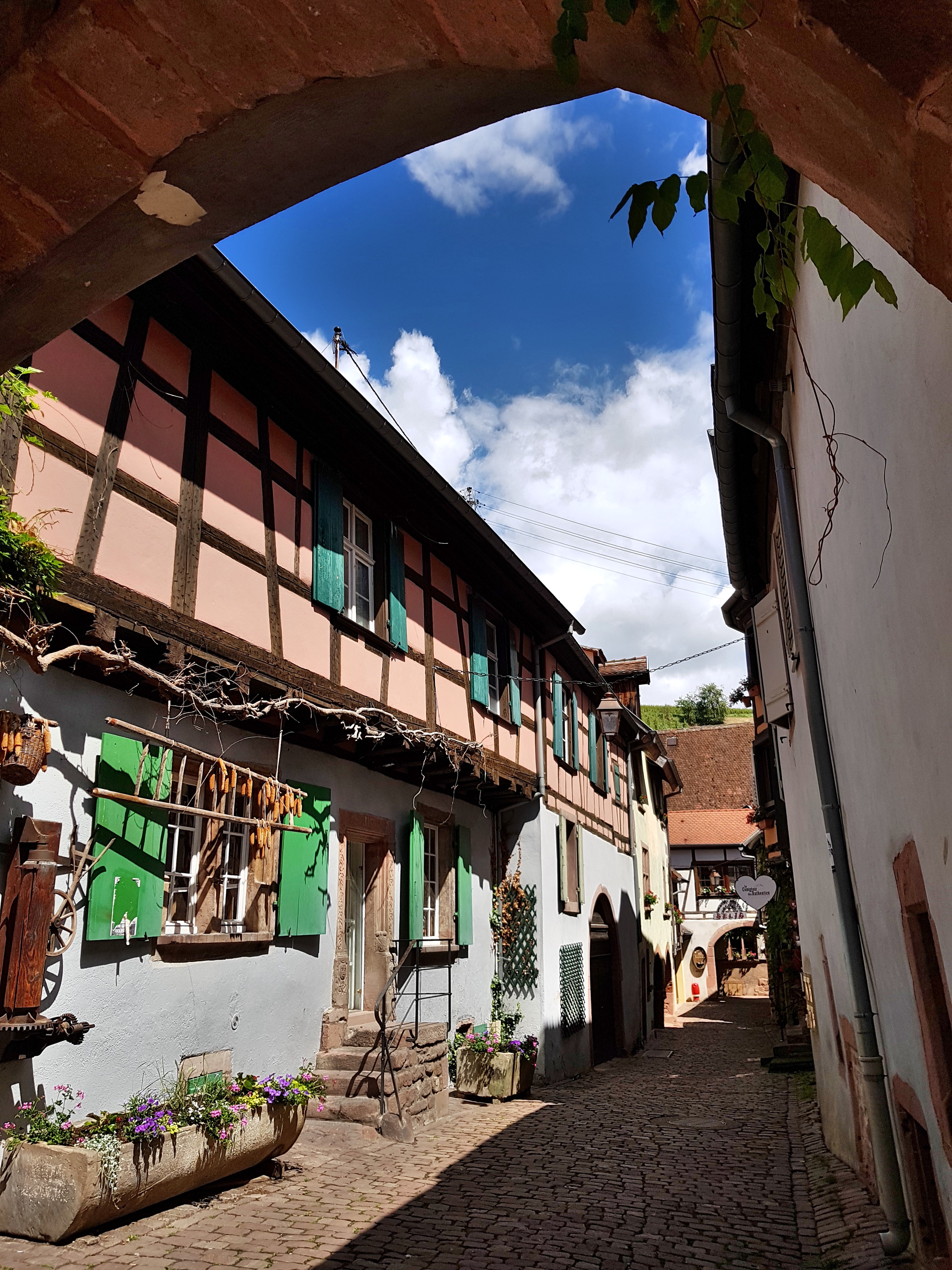 C360_2017-06-07-12-07-33-197