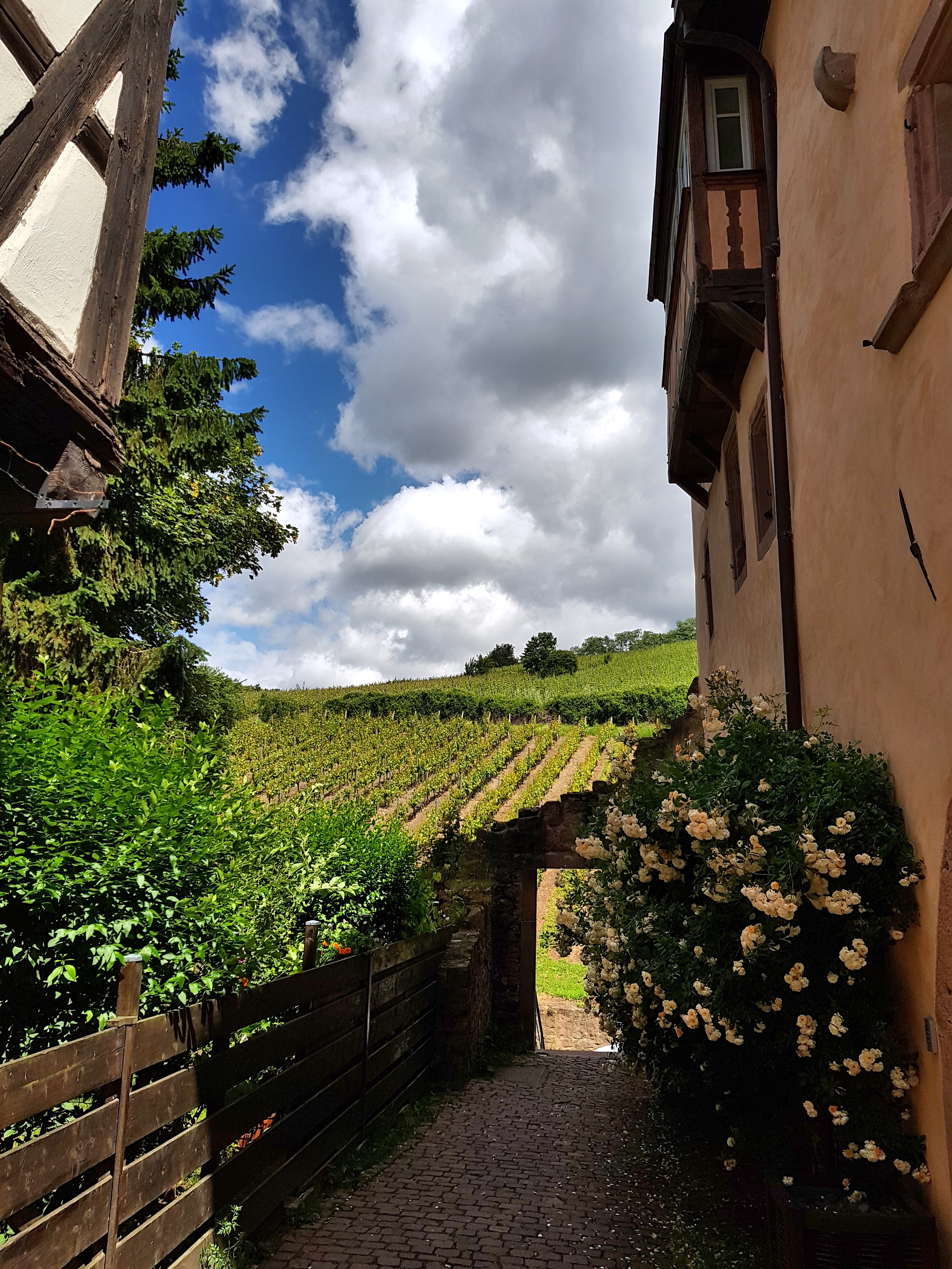 C360_2017-06-07-12-12-29-495