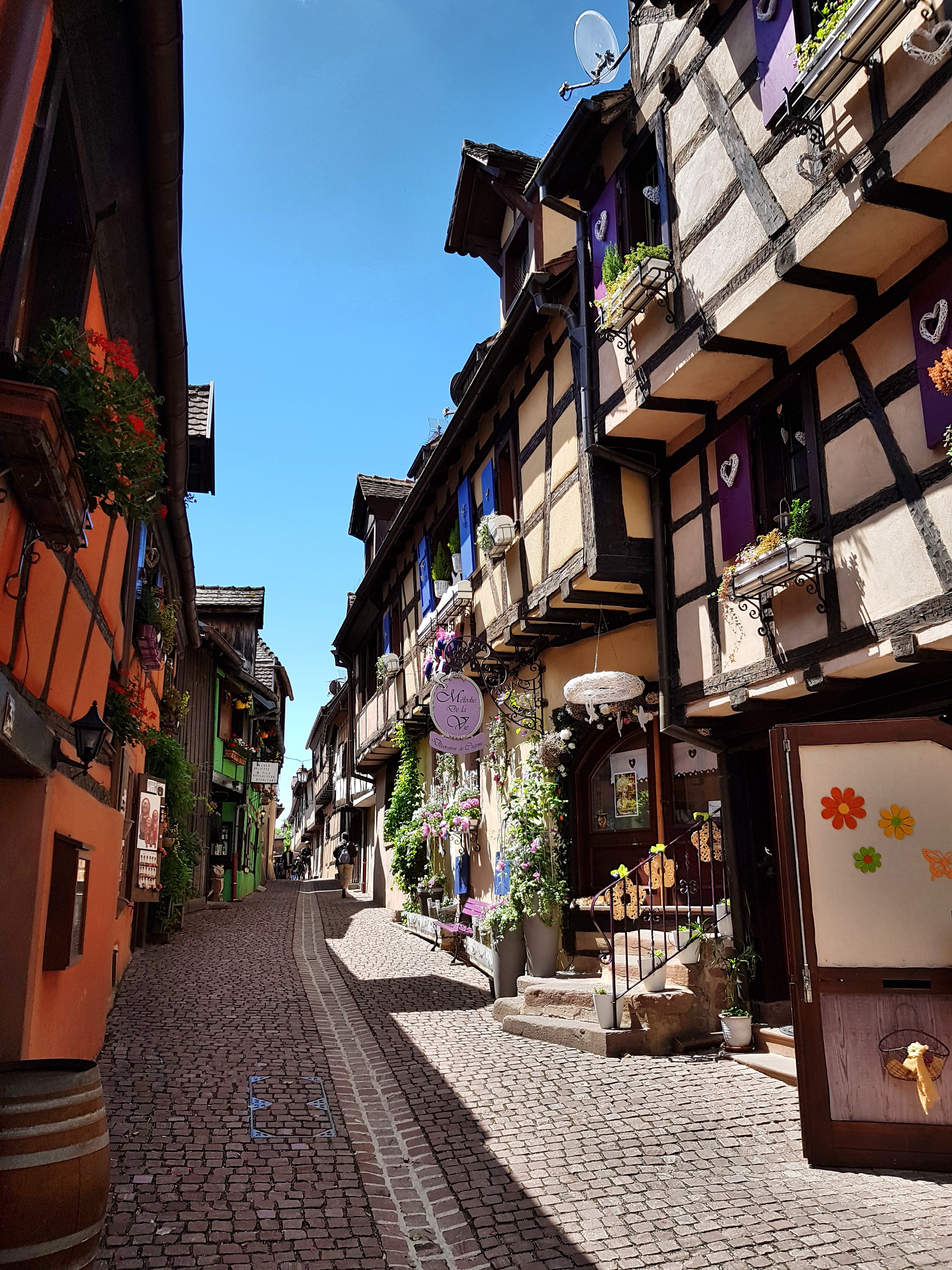 C360_2017-06-07-12-15-21-032