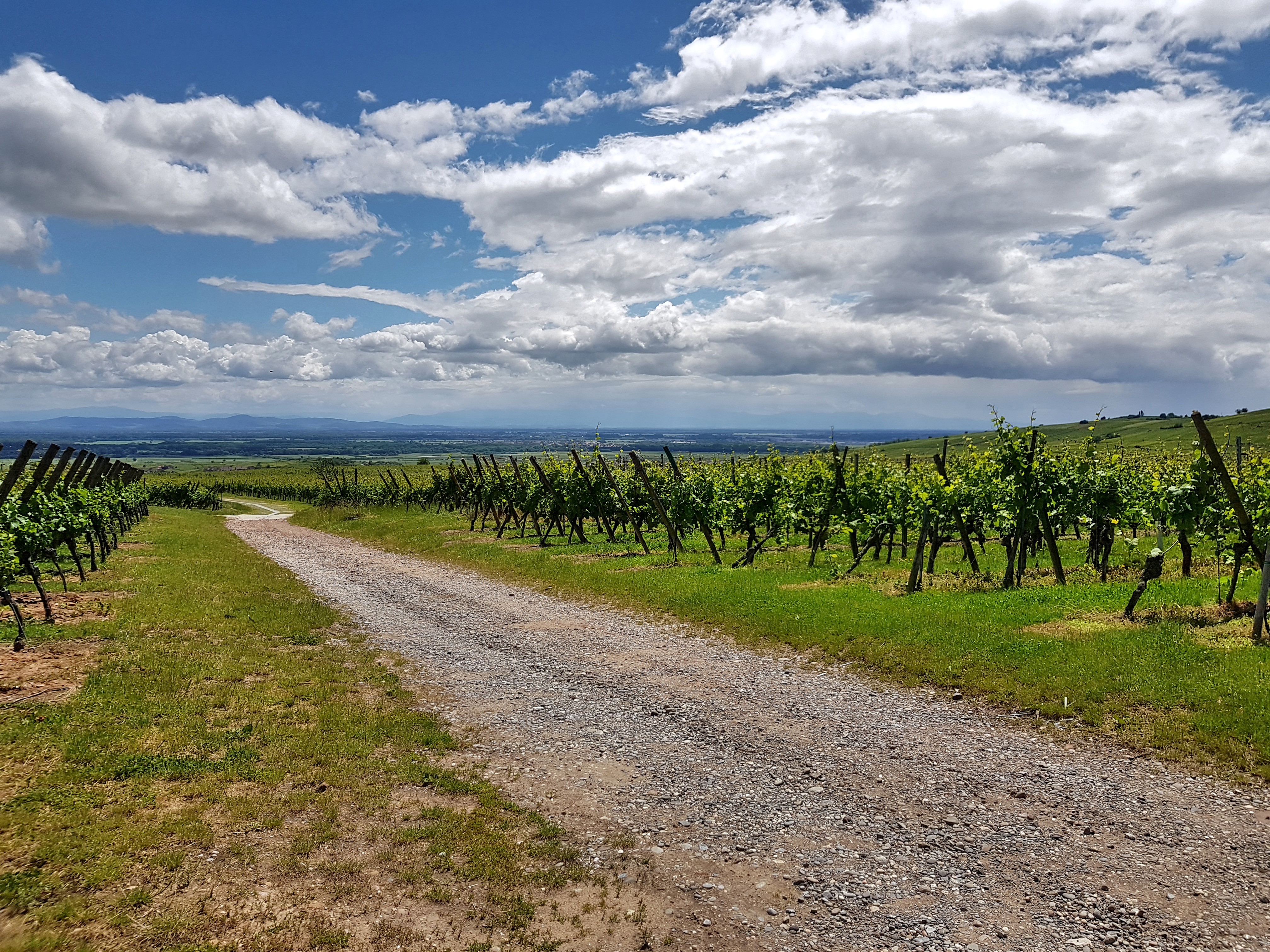 C360_2017-06-07-12-48-55-103