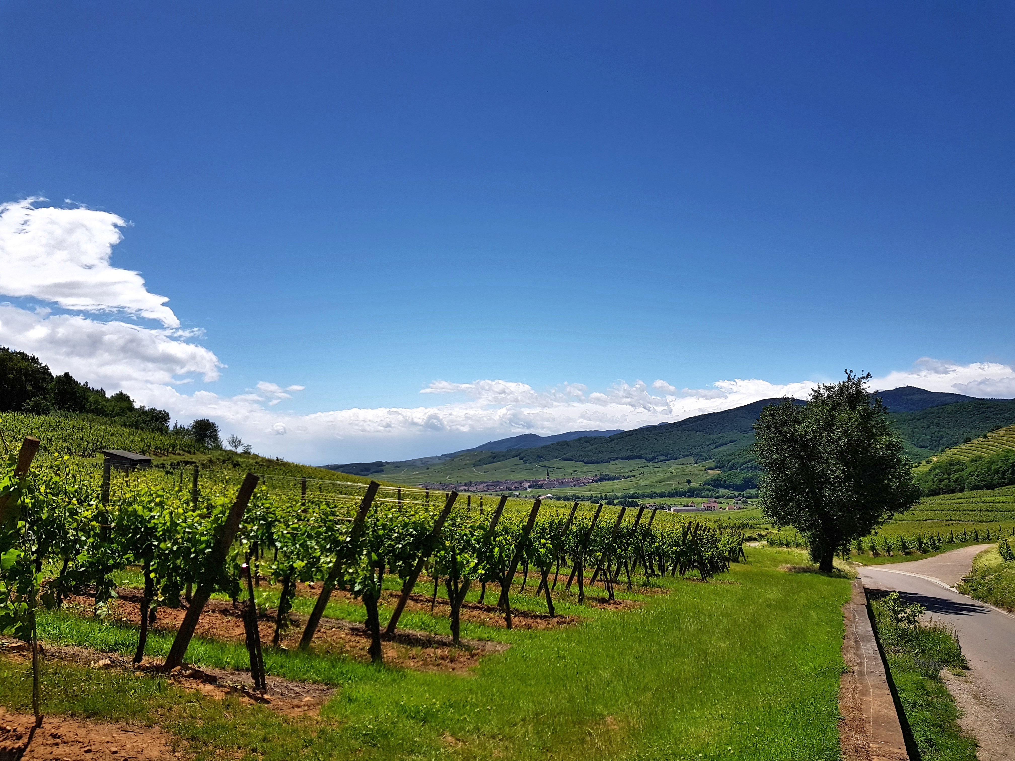 C360_2017-06-07-12-53-37-273