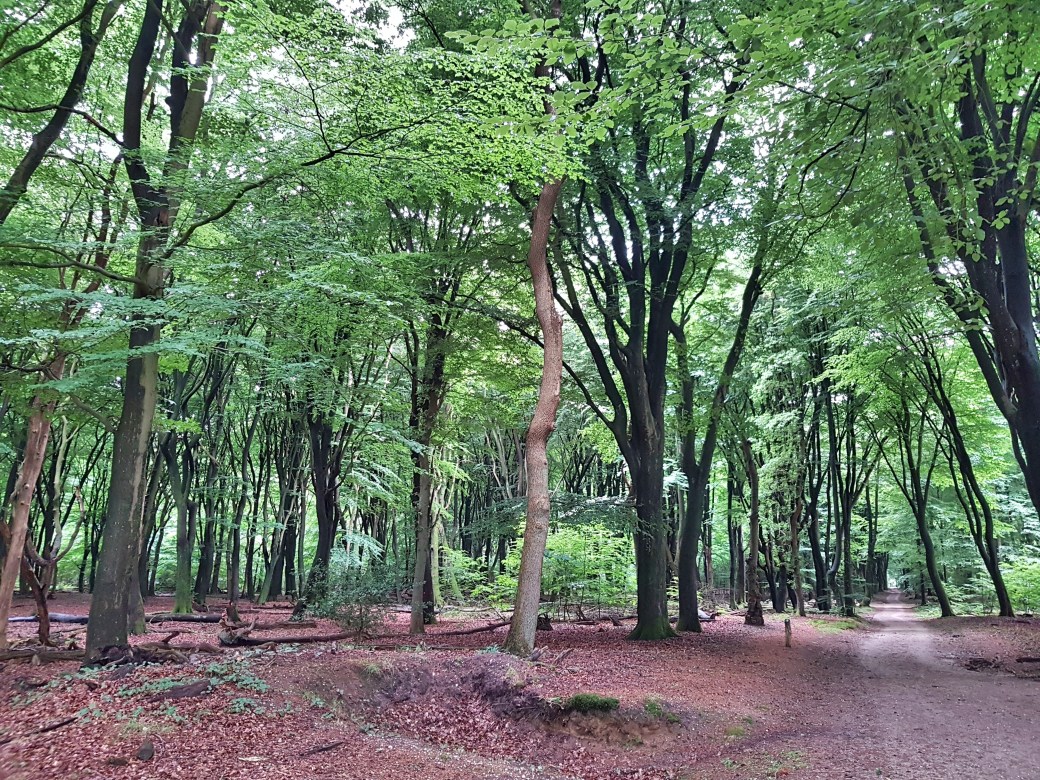 C360_2017-06-25-13-54-40-237