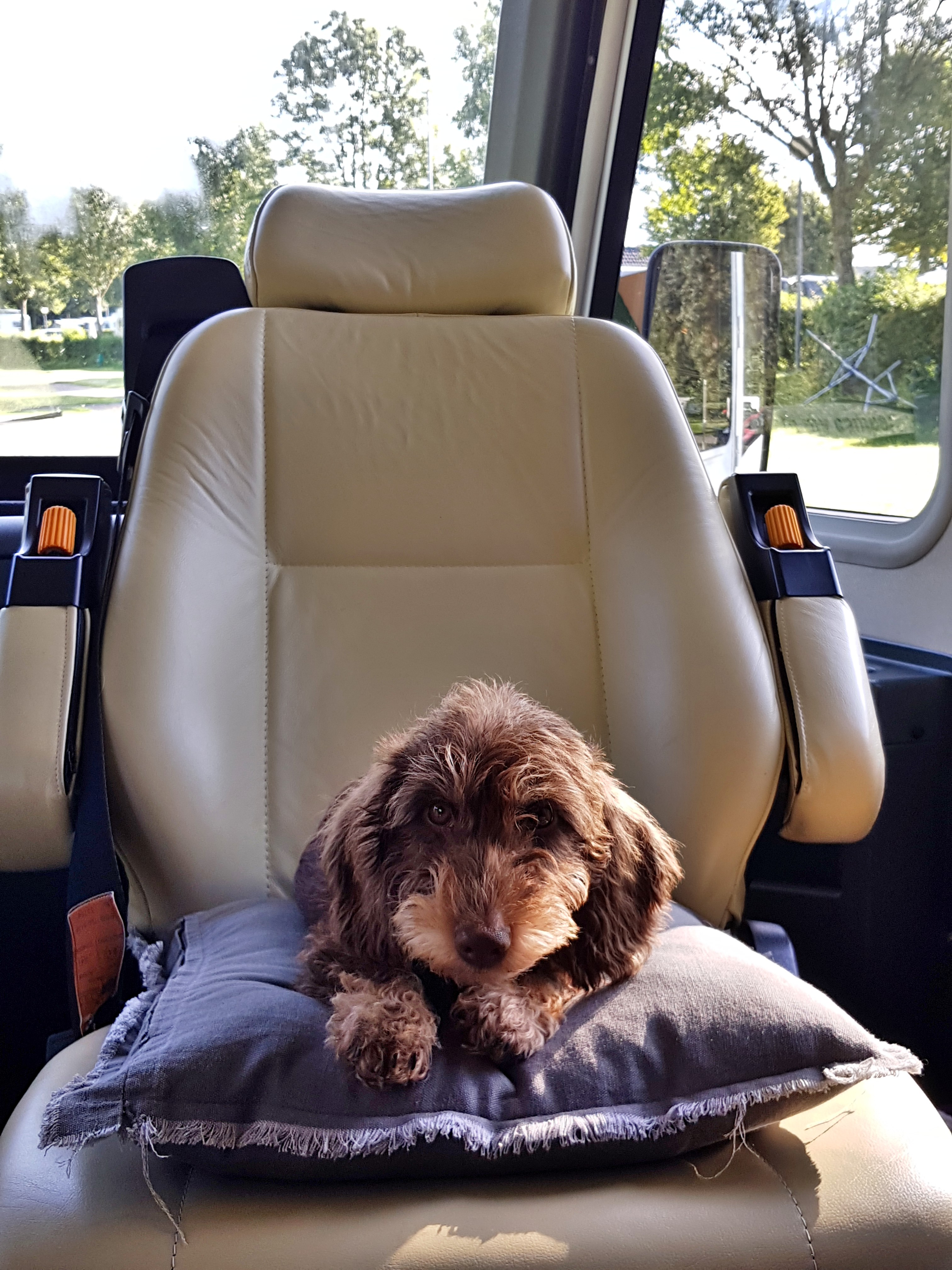 C360_2017-09-10-10-10-35-109