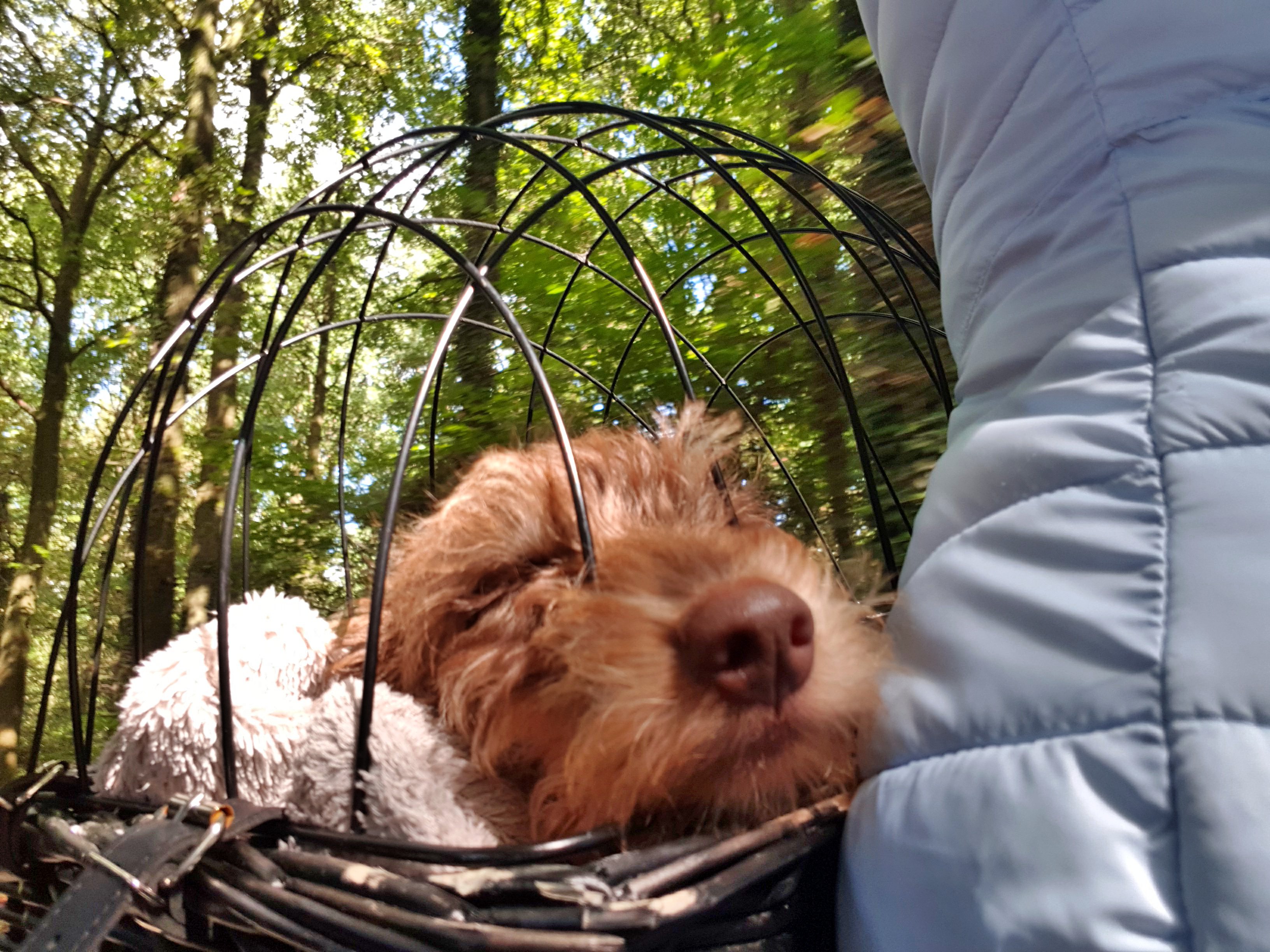 C360_2017-09-10-13-49-39-230