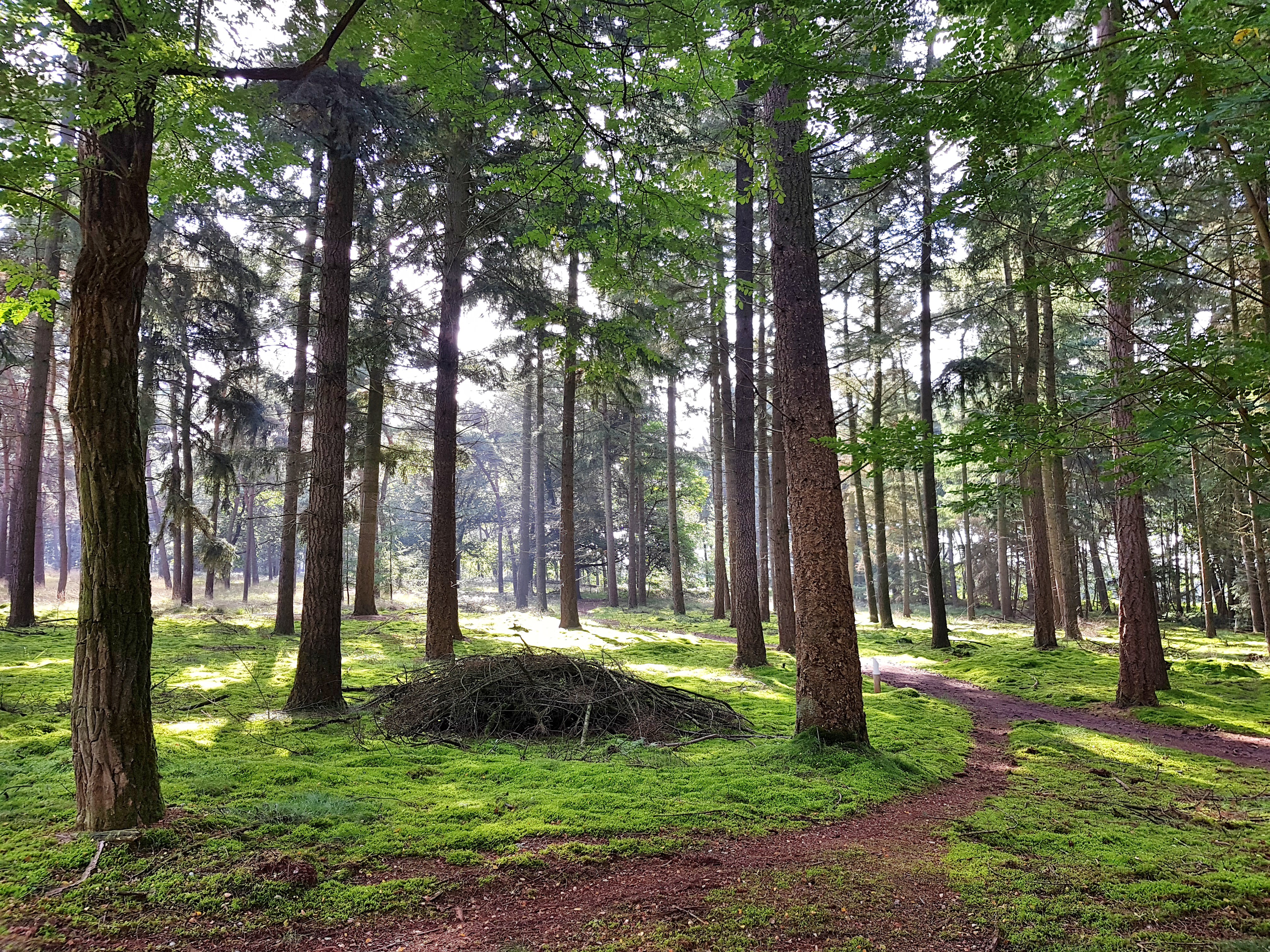 C360_2017-09-12-10-31-37-524