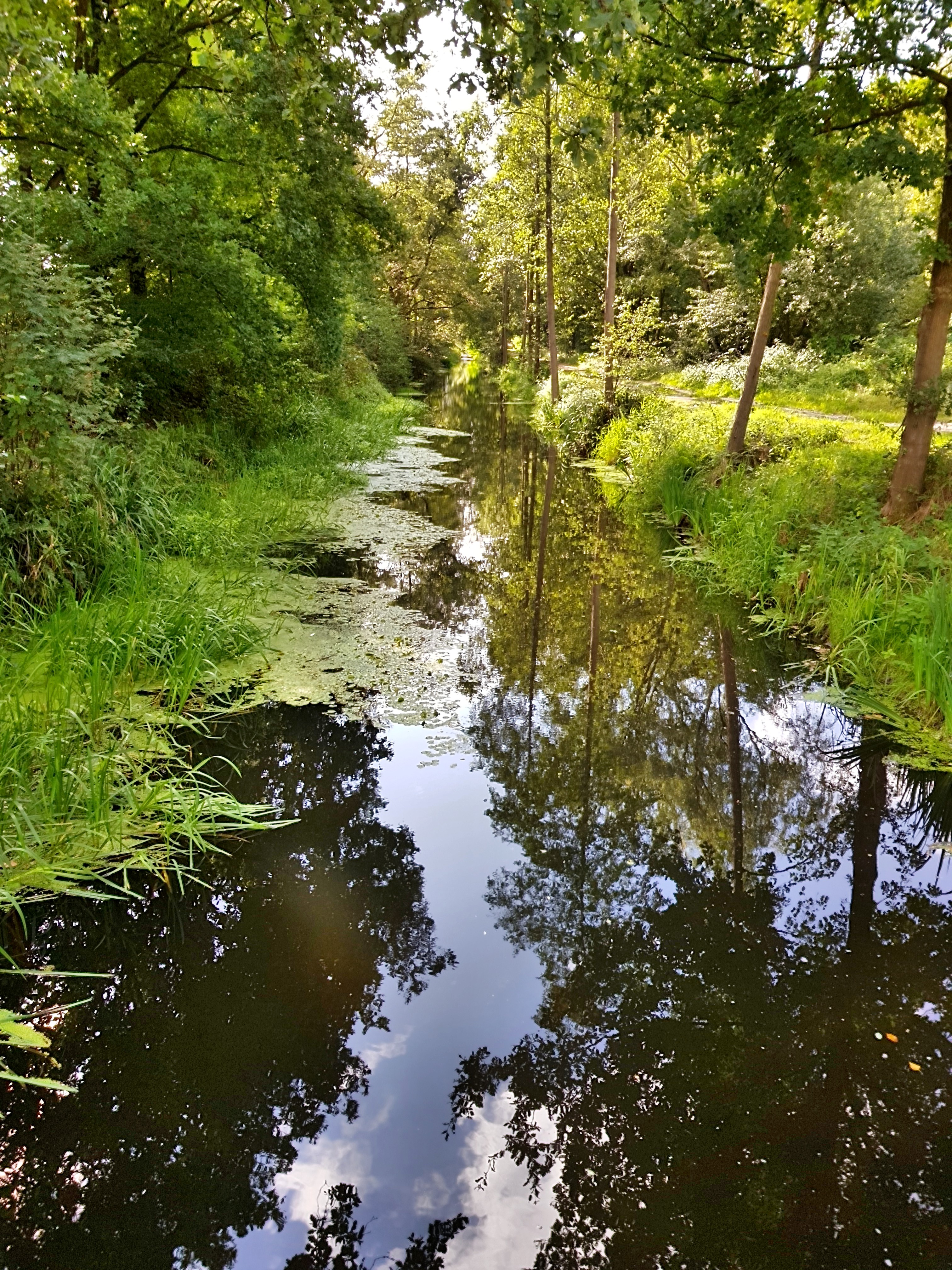 C360_2017-09-12-11-15-10-039