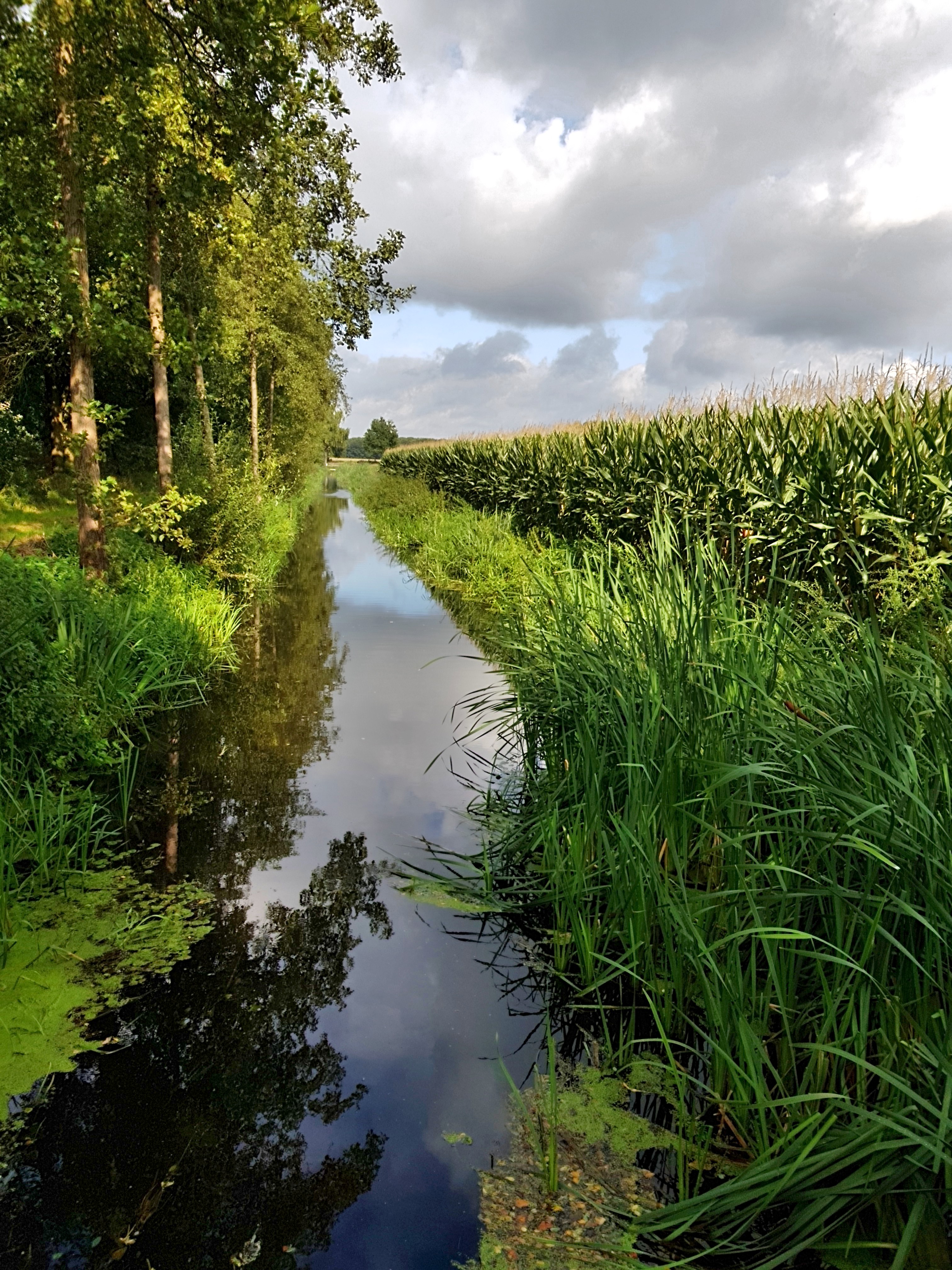 C360_2017-09-12-11-15-20-596