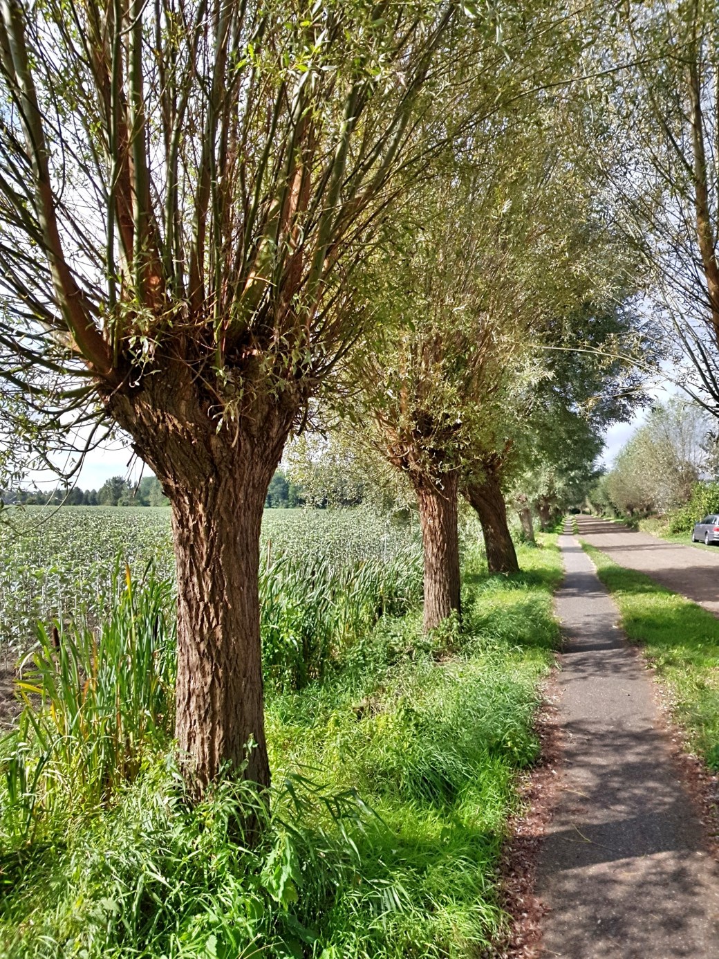 C360_2017-09-12-11-25-25-261