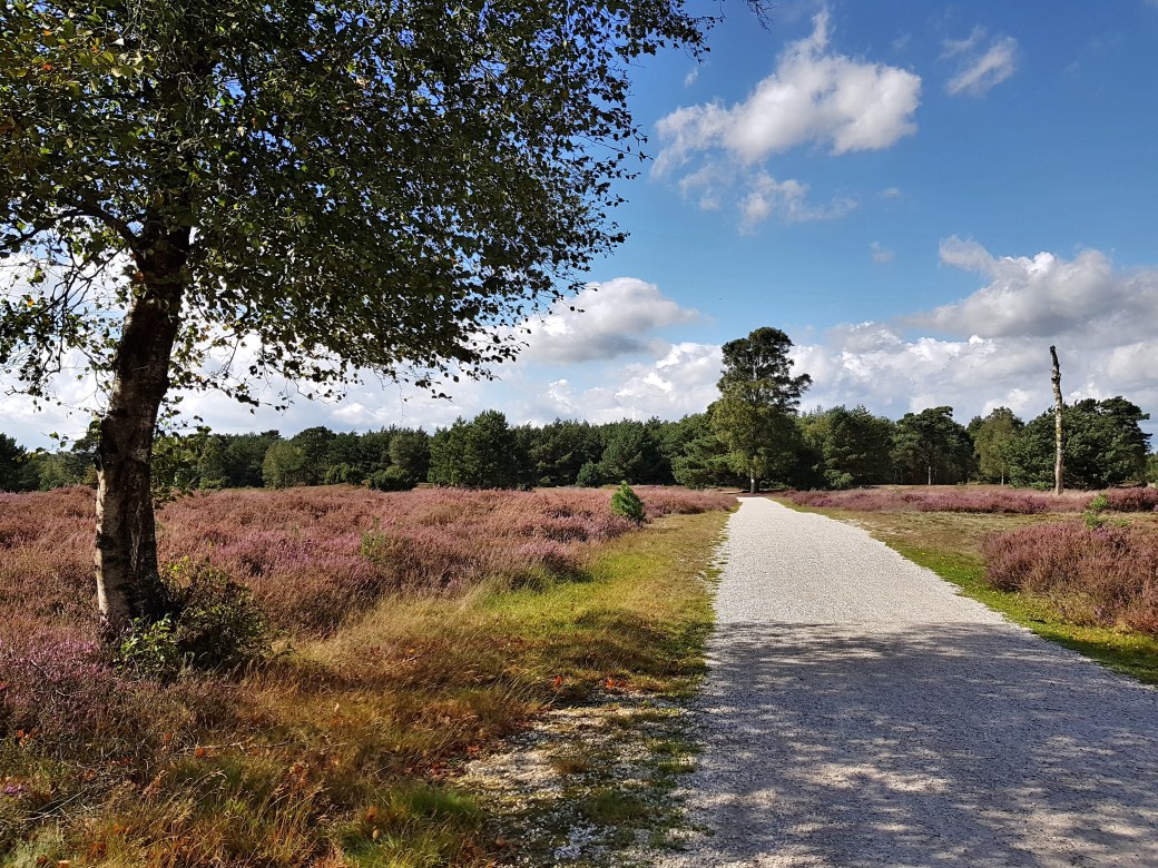 C360_2017-09-12-14-57-03-453