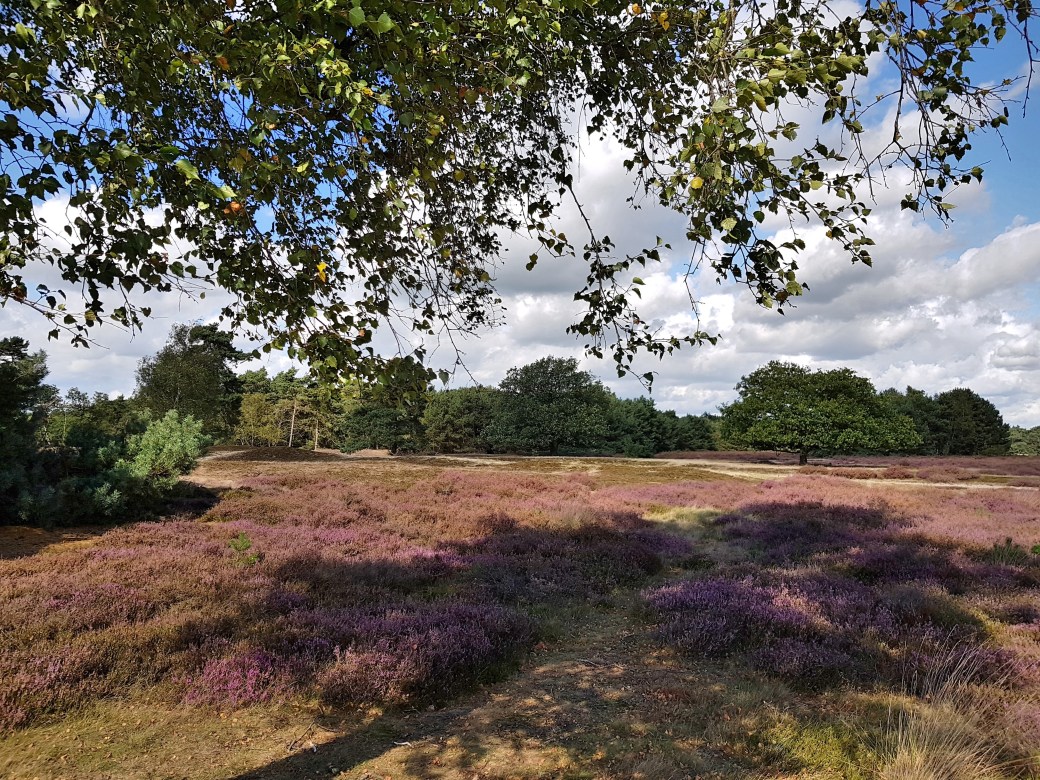 C360_2017-09-12-14-59-22-592