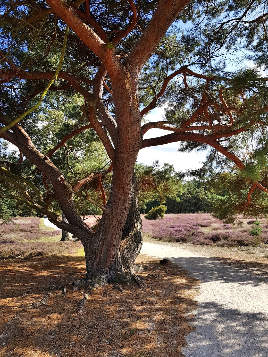 C360_2017-09-12-15-05-31-453