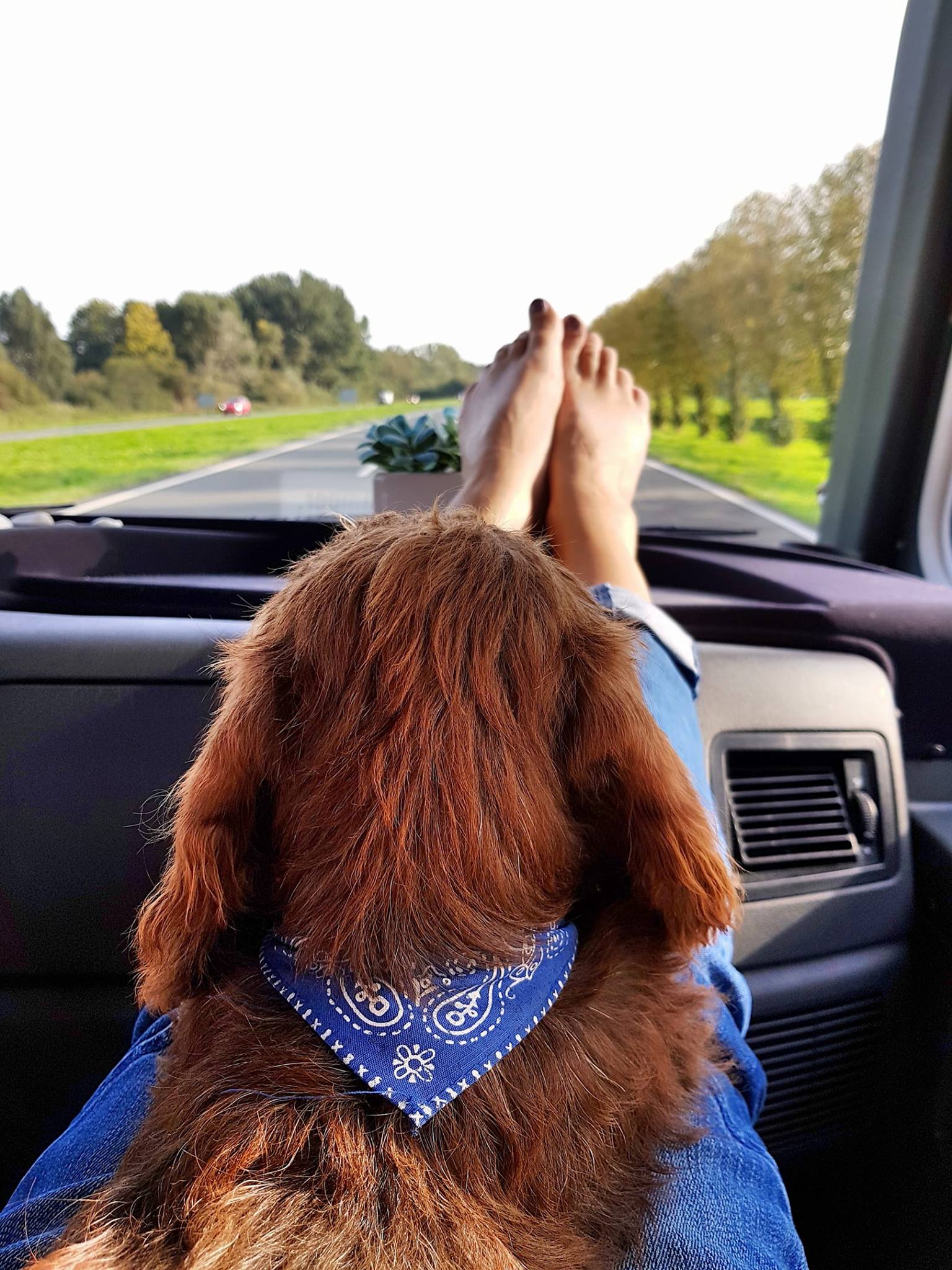 22042325_10212196709126494_2349207030192862009_o