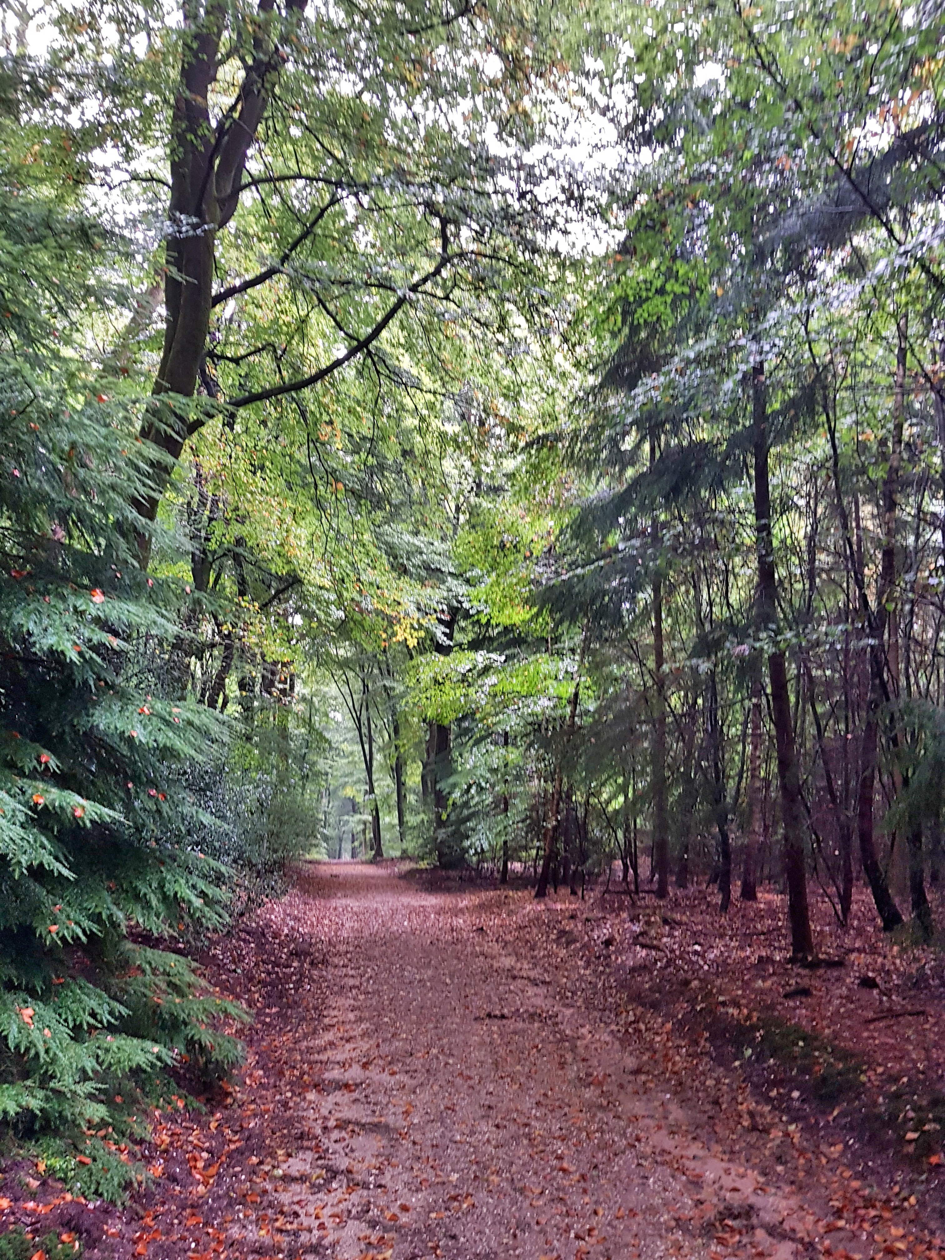 C360_2017-09-30-13-30-21-796[2]