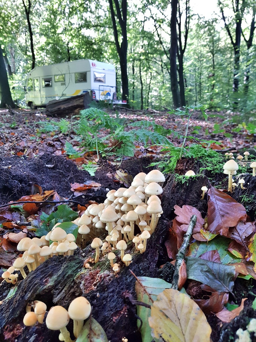 C360_2017-10-08-13-16-09-926