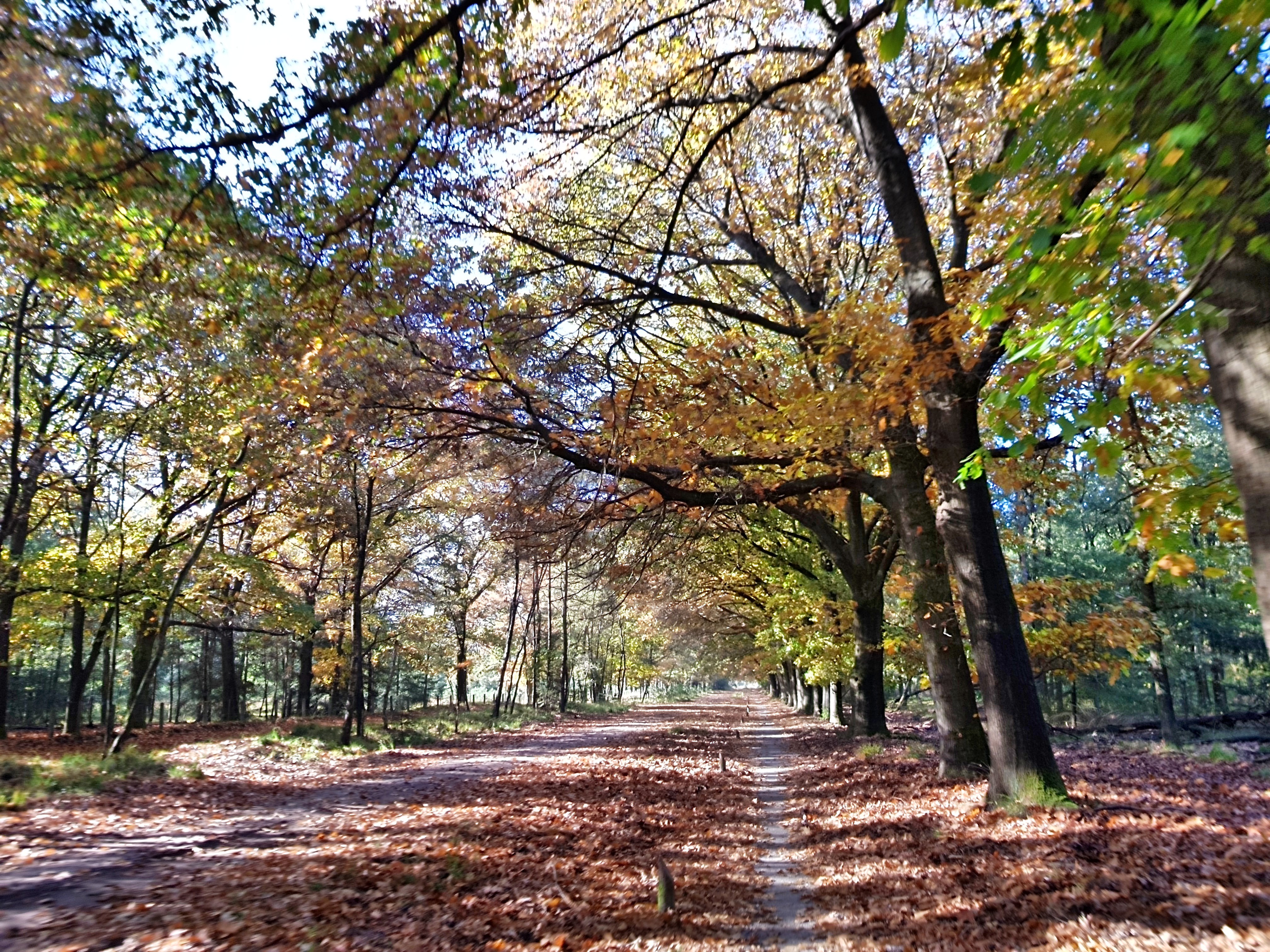 C360_2017-10-14-11-33-34-679