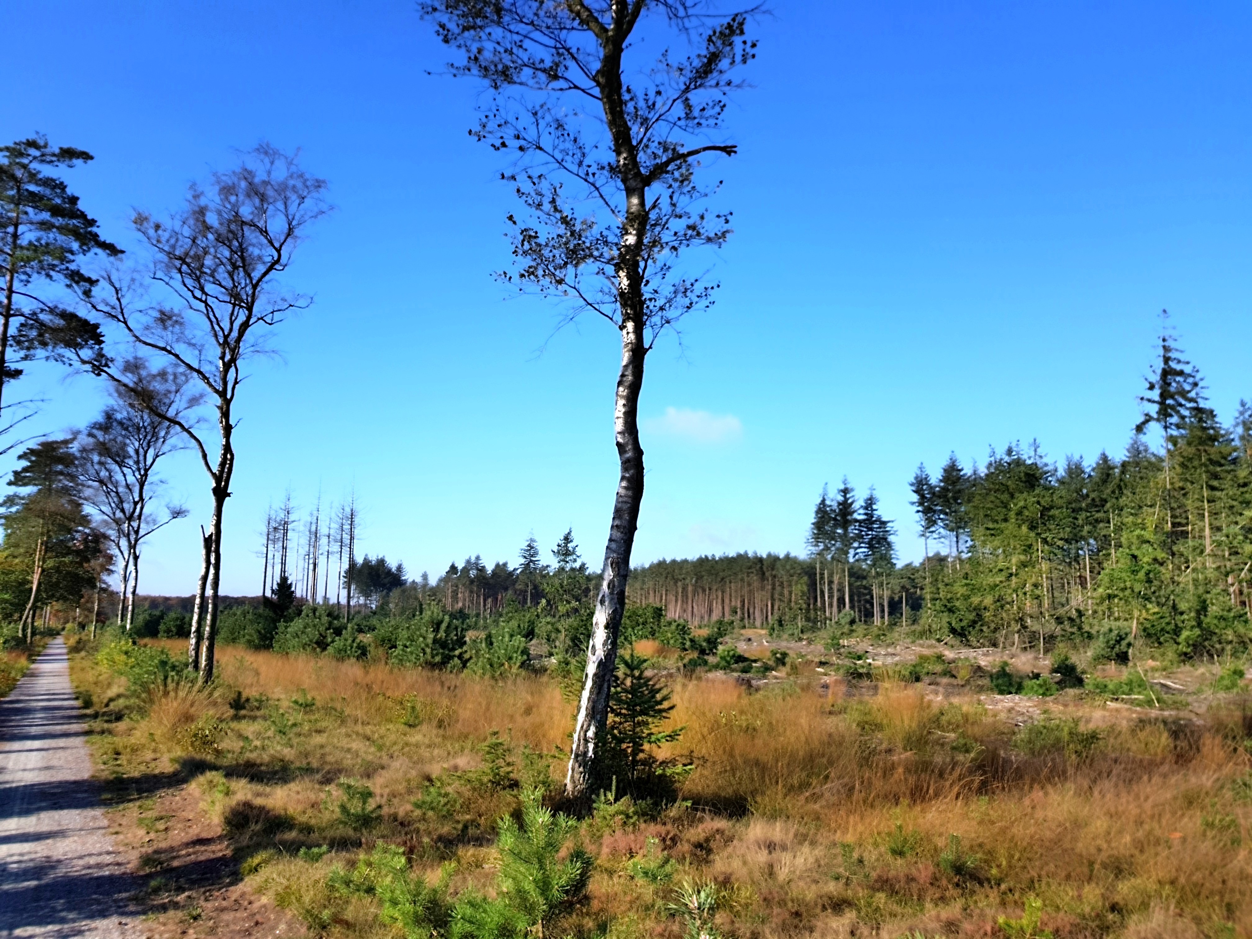 C360_2017-10-14-11-35-47-624