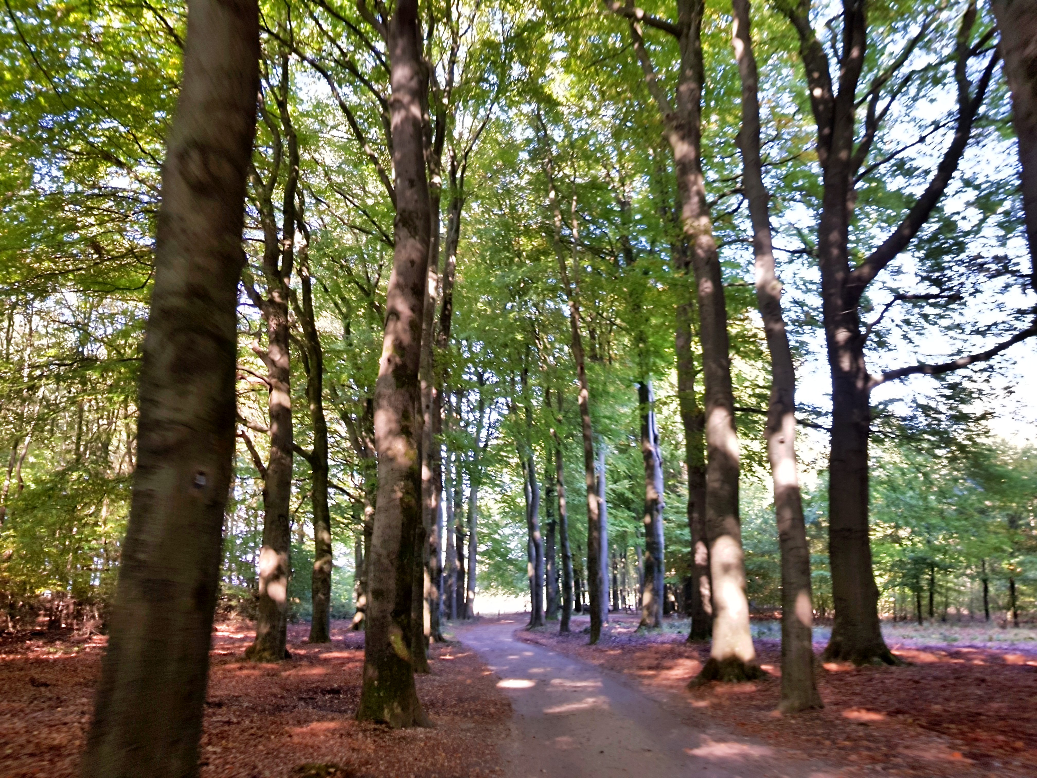 C360_2017-10-14-12-33-29-395