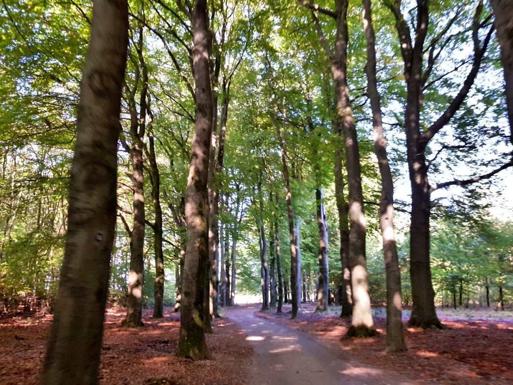 C360_2017-10-14-12-33-29-395