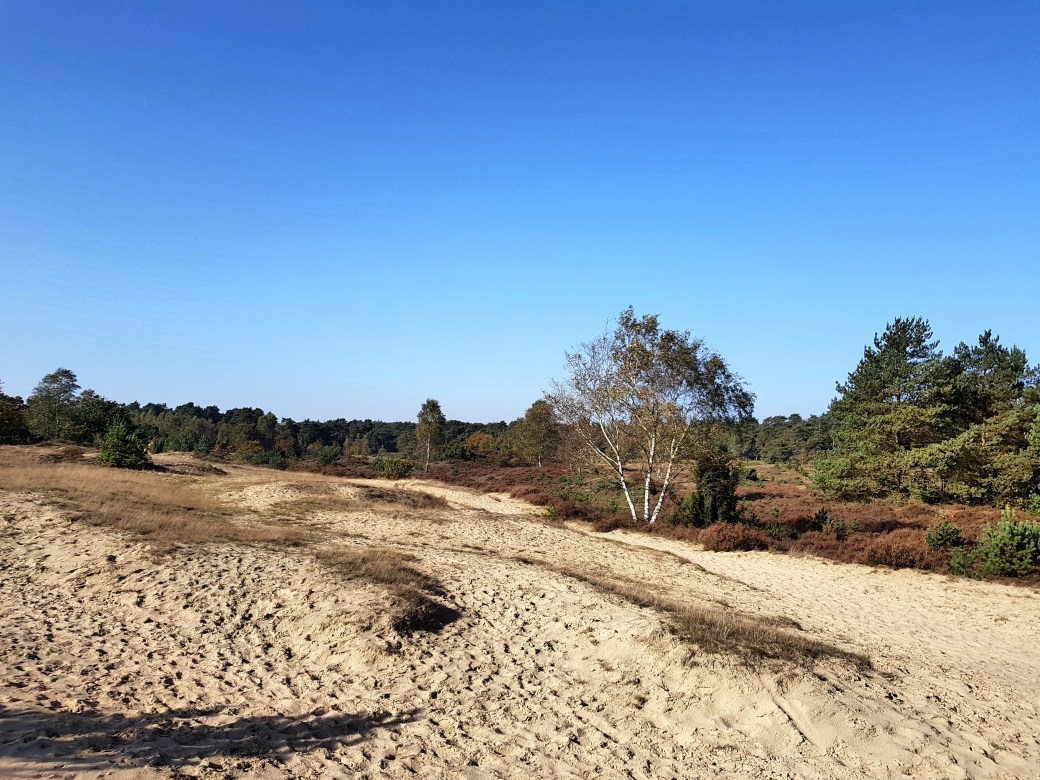 C360_2017-10-15-11-55-11-733