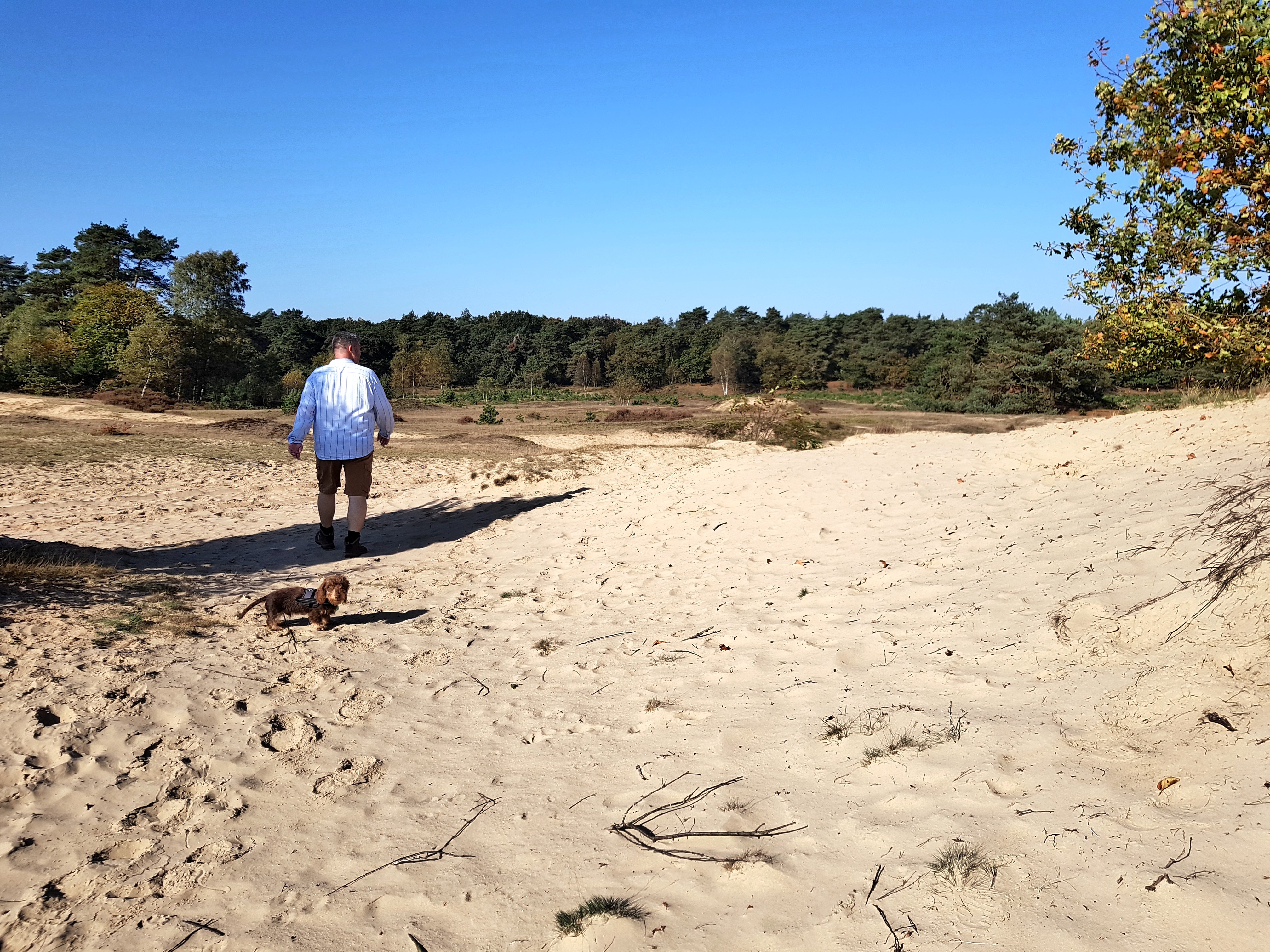 C360_2017-10-15-12-00-22-584