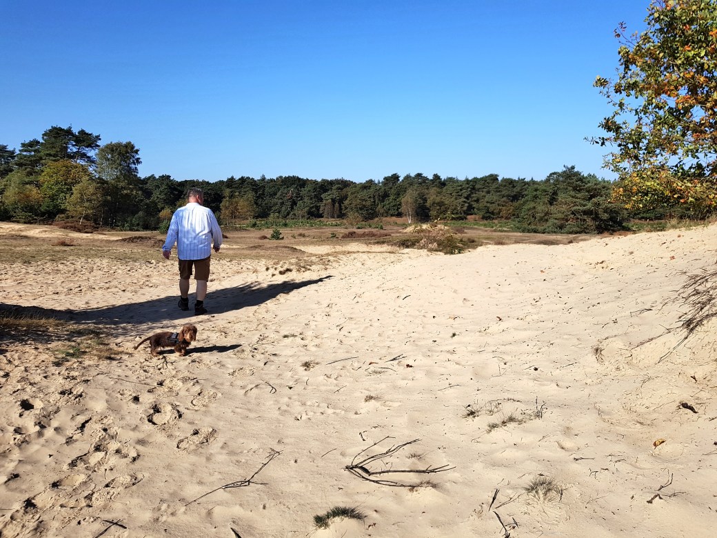 C360_2017-10-15-12-00-22-584