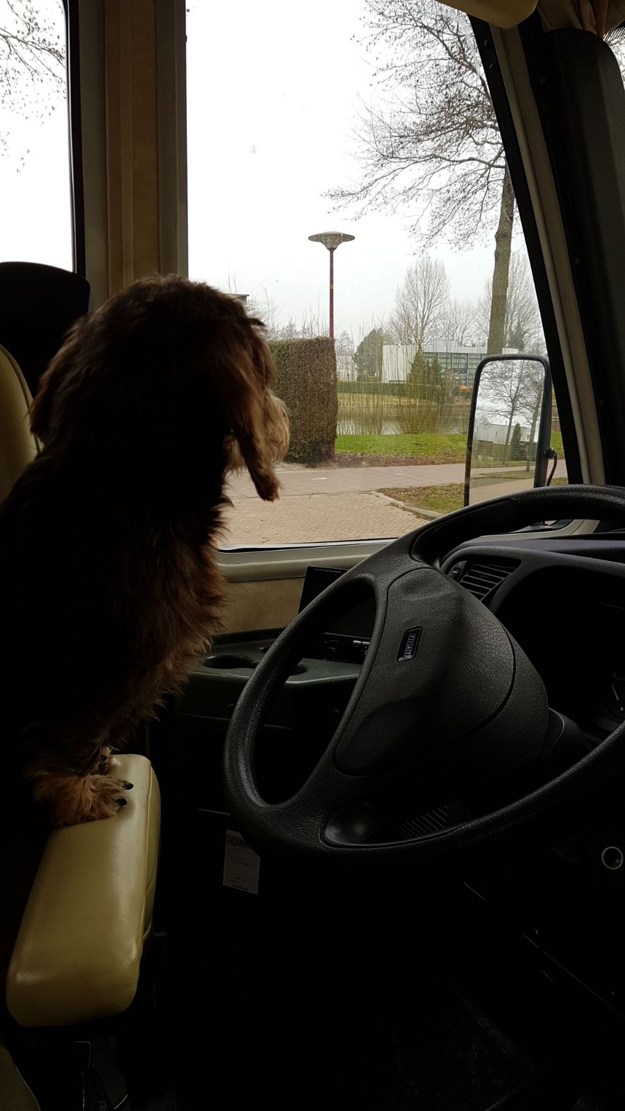 8e80f3c9-ad52-4ce4-8ace-35e4144ff7cc