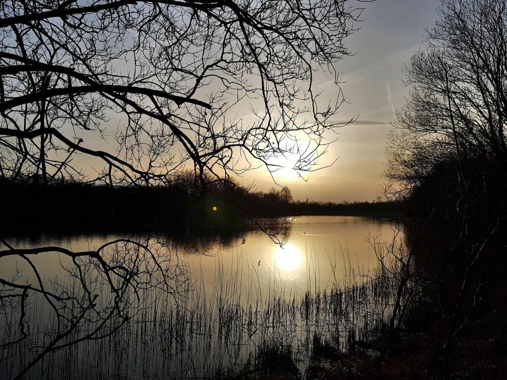 30261357_1902128603154862_8444850708410269696_o