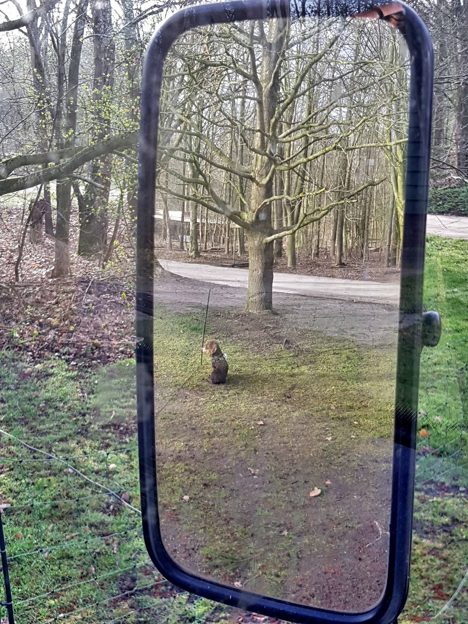 30264312_1903088539725535_2590648286385799168_o