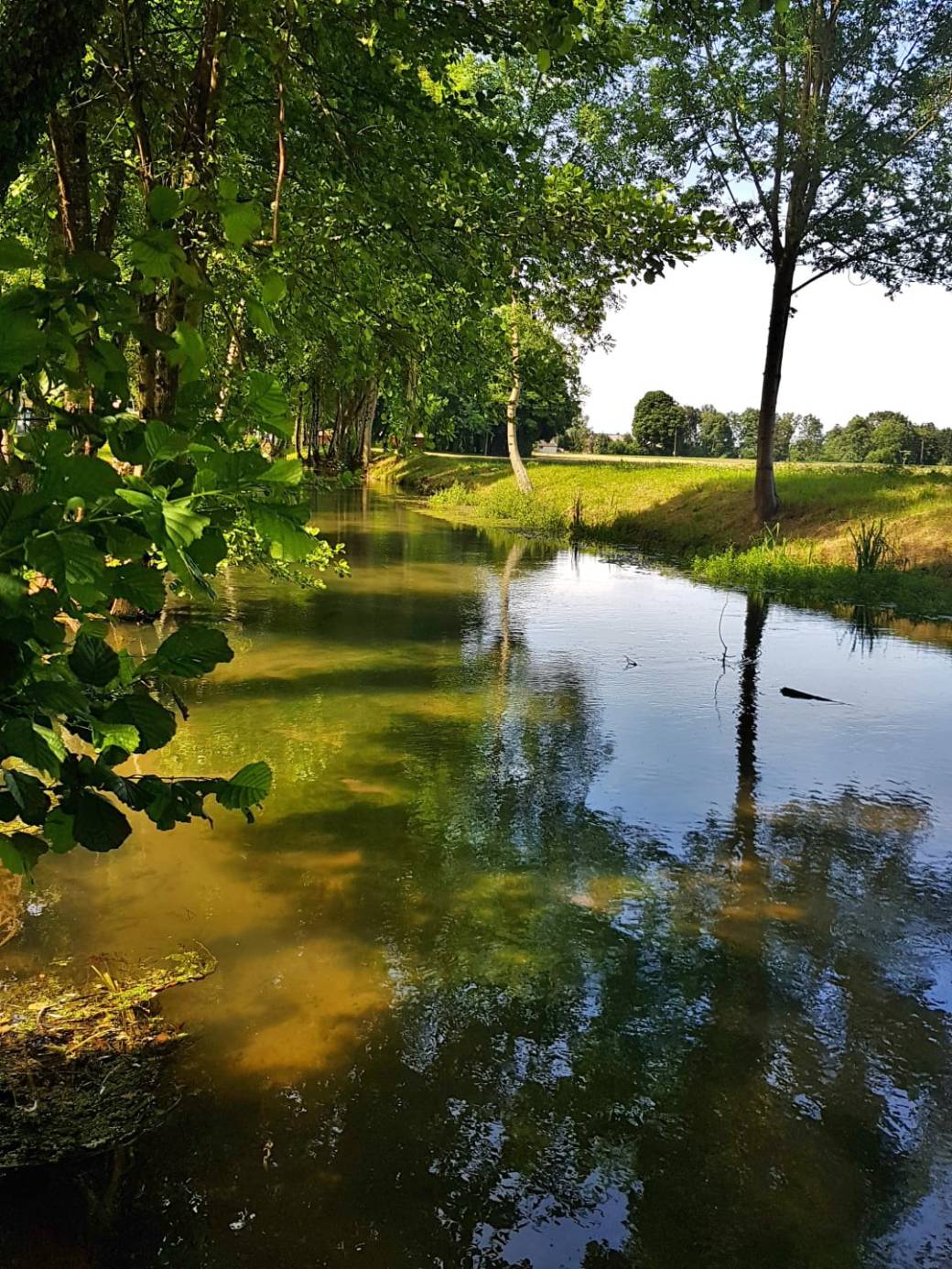 b41ca5e3-75f1-415e-8fb0-d5f8334d34bd